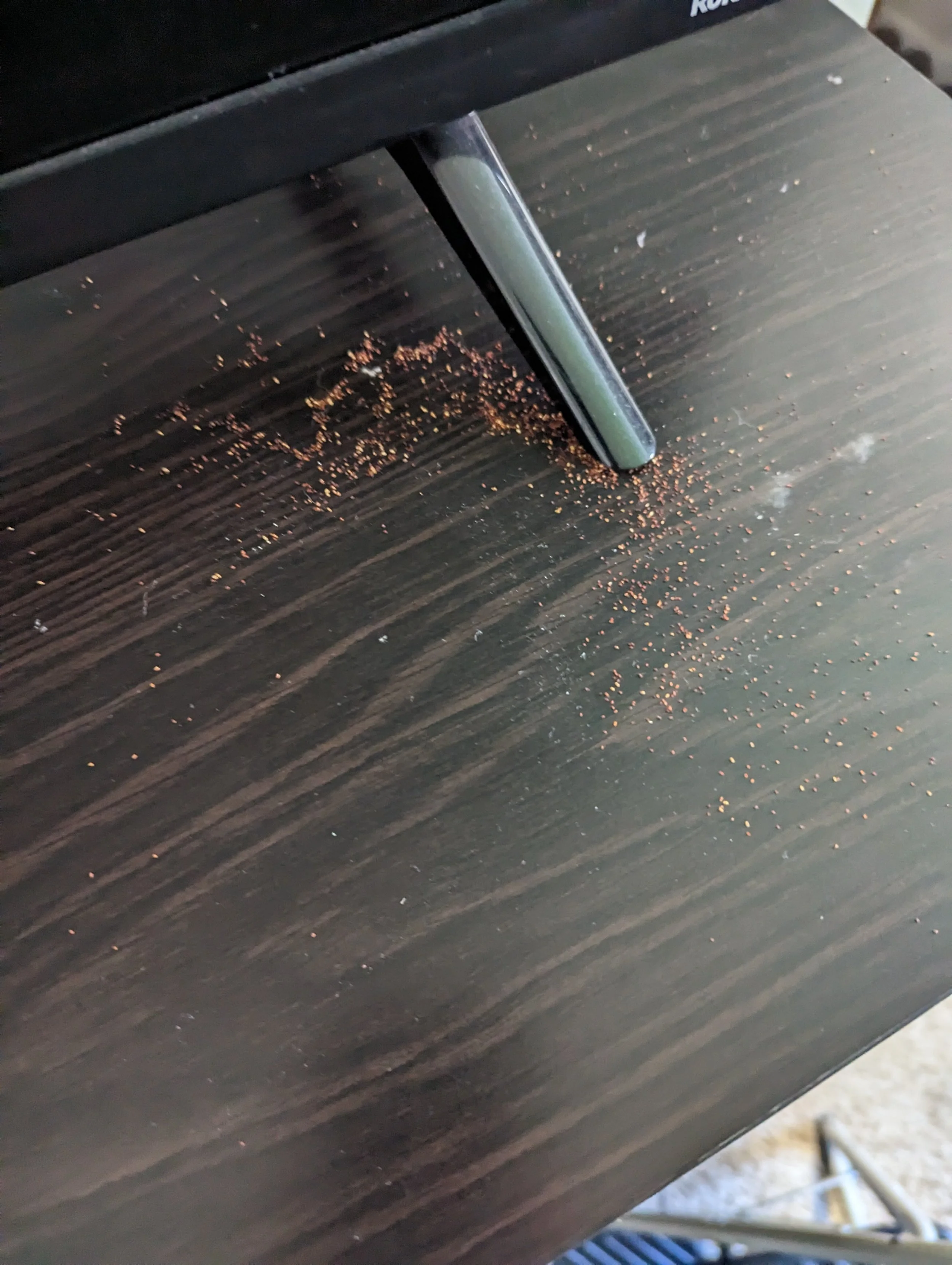 Termite Droppings, 04/03/23