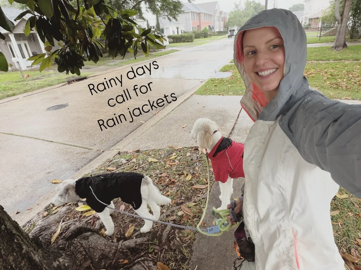 🌧️🌧️

#neworleans #dogwalking #petsitter #andresanimalservices #nola
