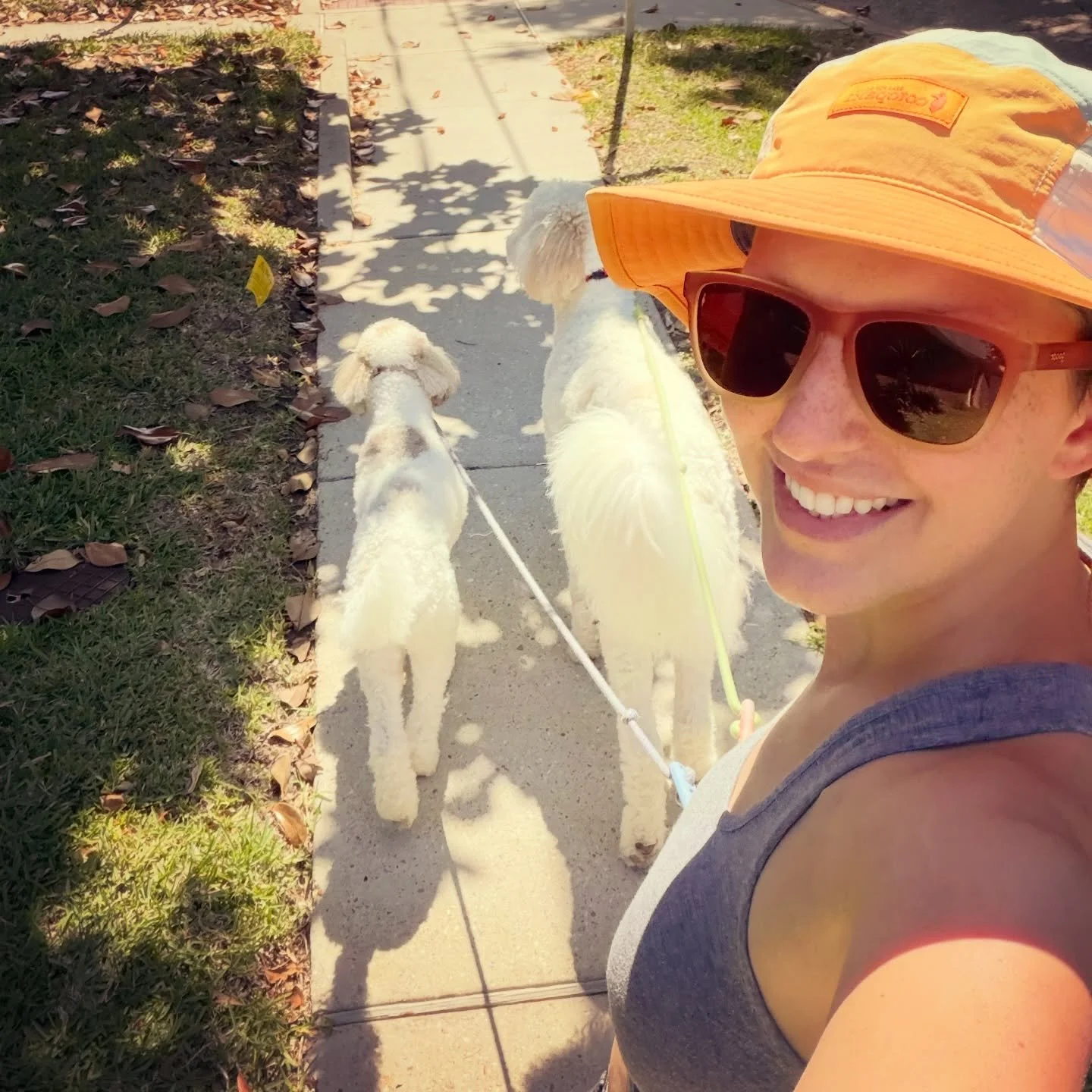 BEAUTIFUL day for walking dogs! 🤩☀️🐾

#dogwalker #neworleans #petsitter #goldendoodle #andresanimalservices