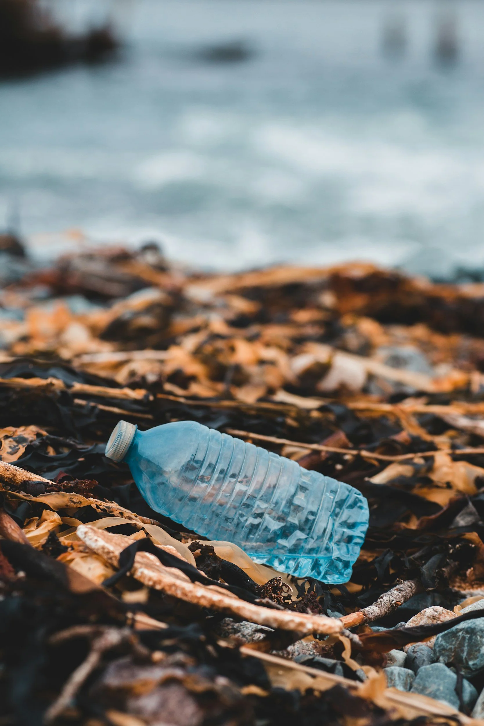 A discarded plastic water bottle lies on a bed of dry leaves and twigs on a beach, with the ocean and blurred shoreline in the background.