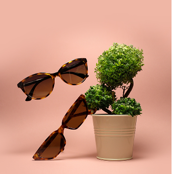 Flux Sunglasses