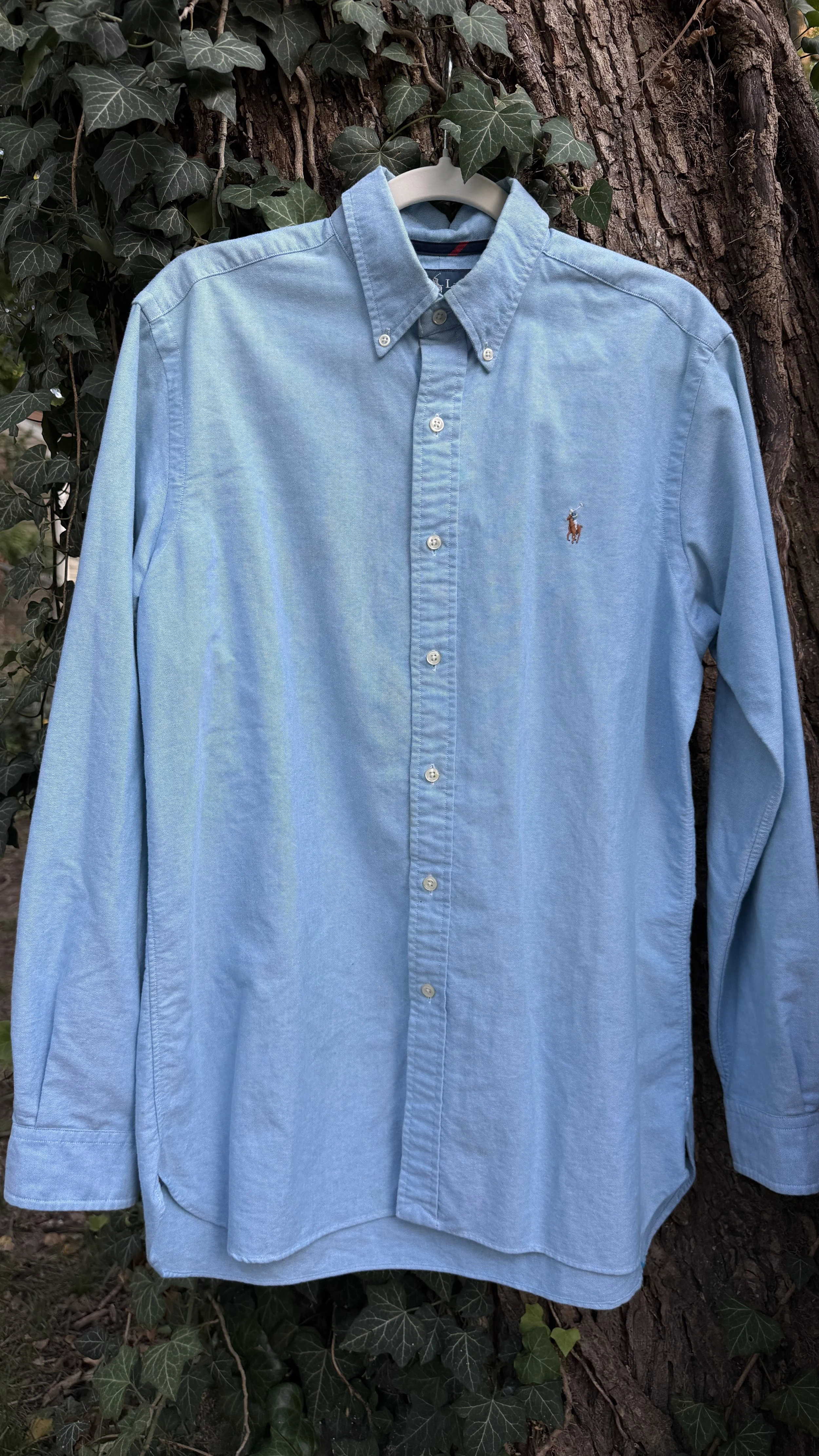 Vintage Ralph Lauren Seafoam Blue Oxford Button-Down (Classic Fit, Striped Trim)