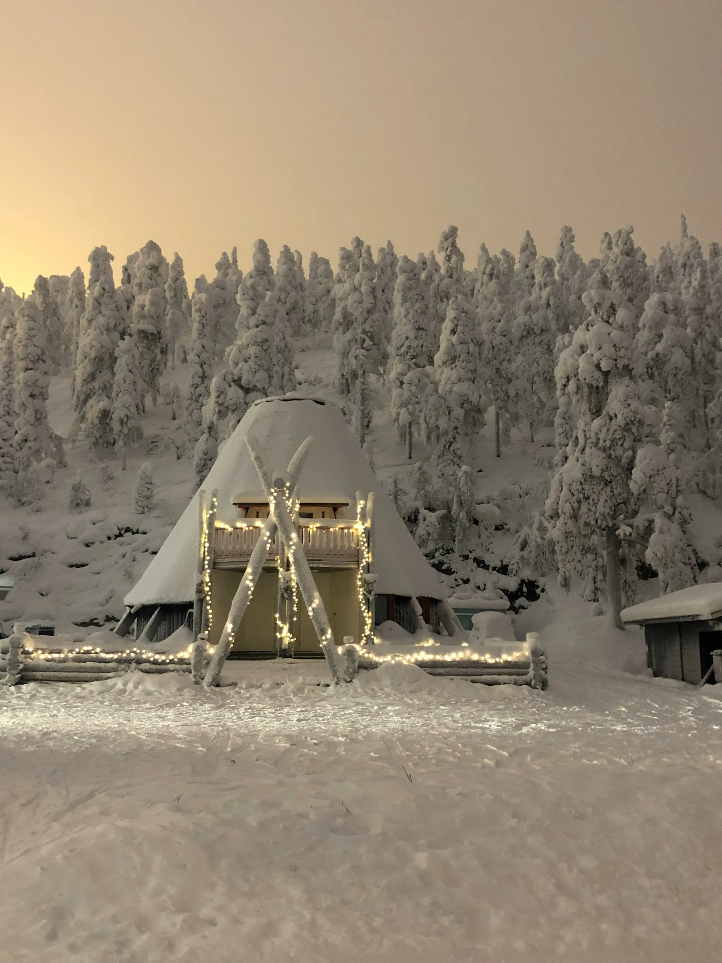 A Family of Our Own Making 