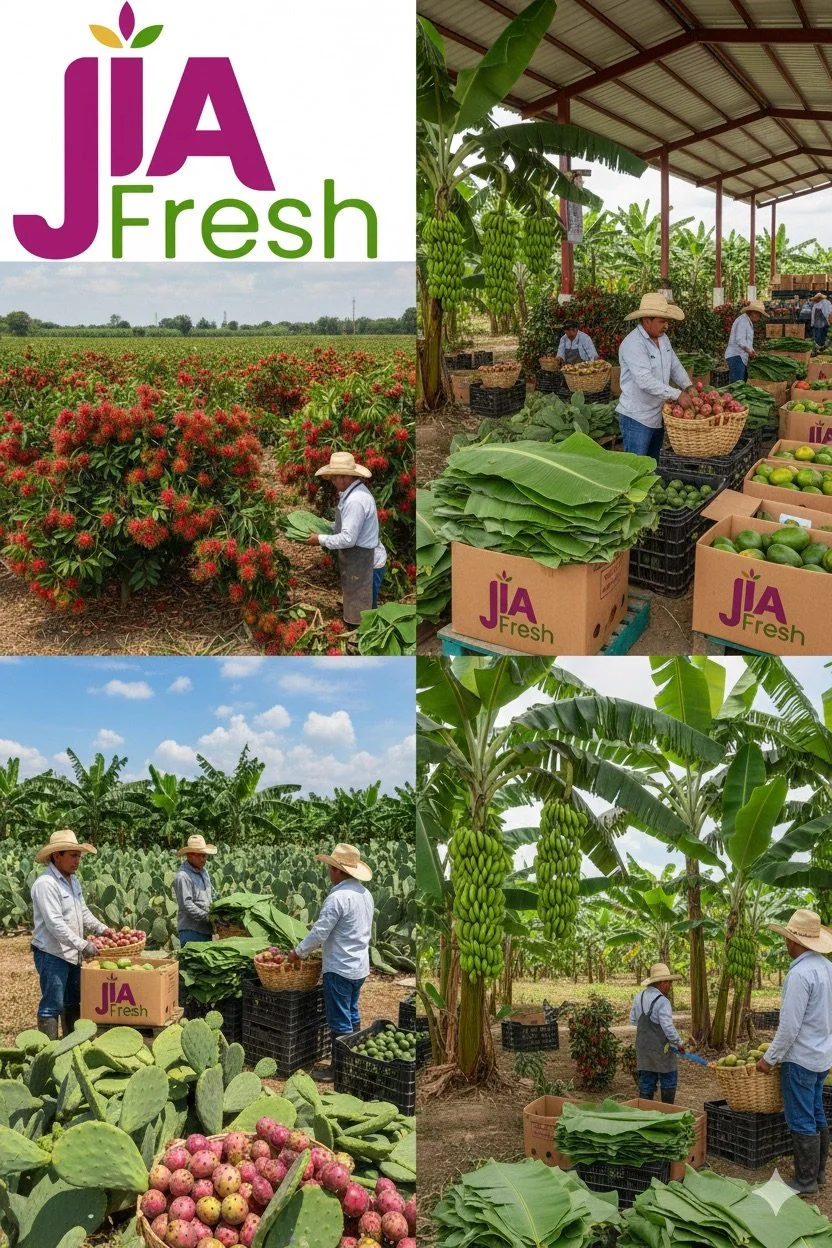 Four scenes of farmers working with fresh fruits and vegetables on a farm, with a logo for JIA Fresh displayed in three of the scenes.