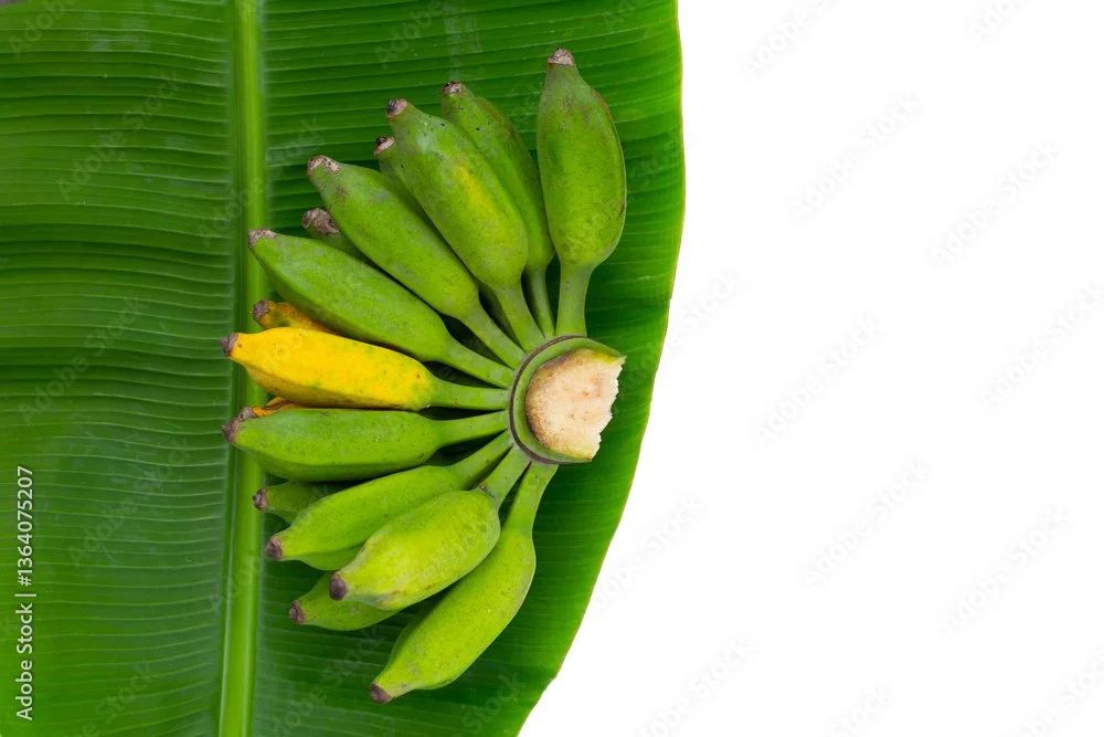 Baby Banana / Dominico