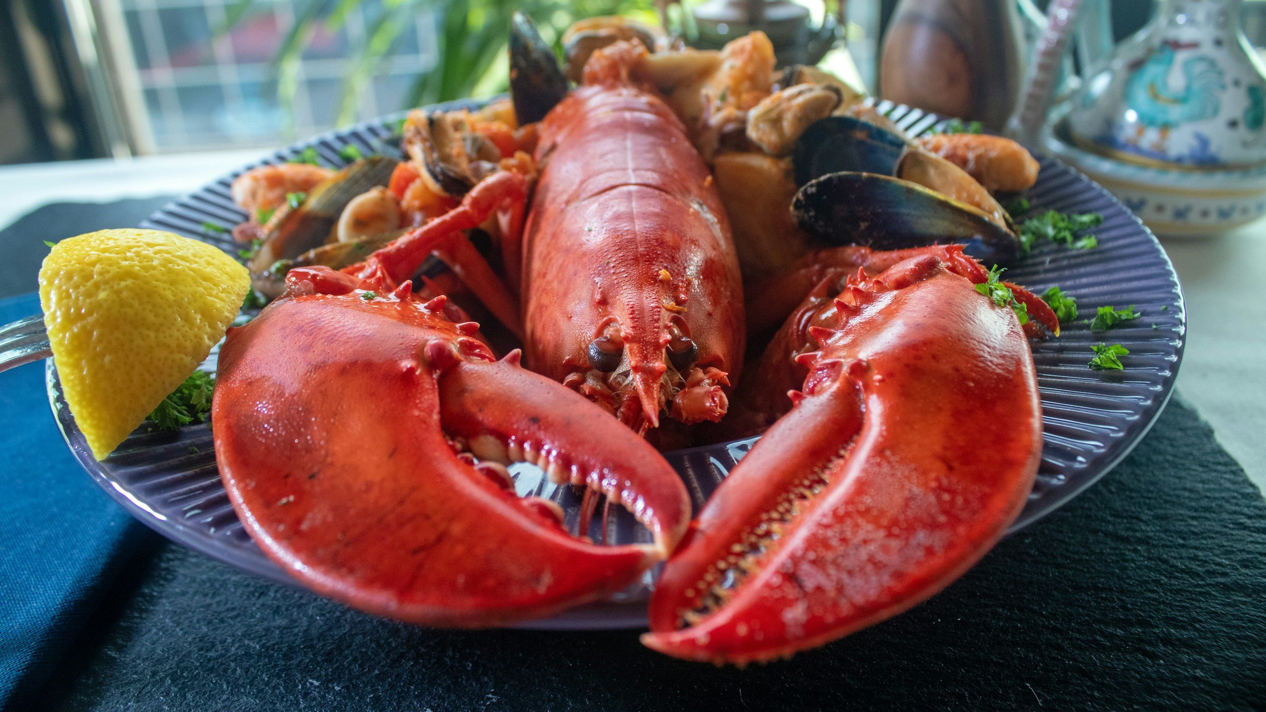 lobster feast in maine