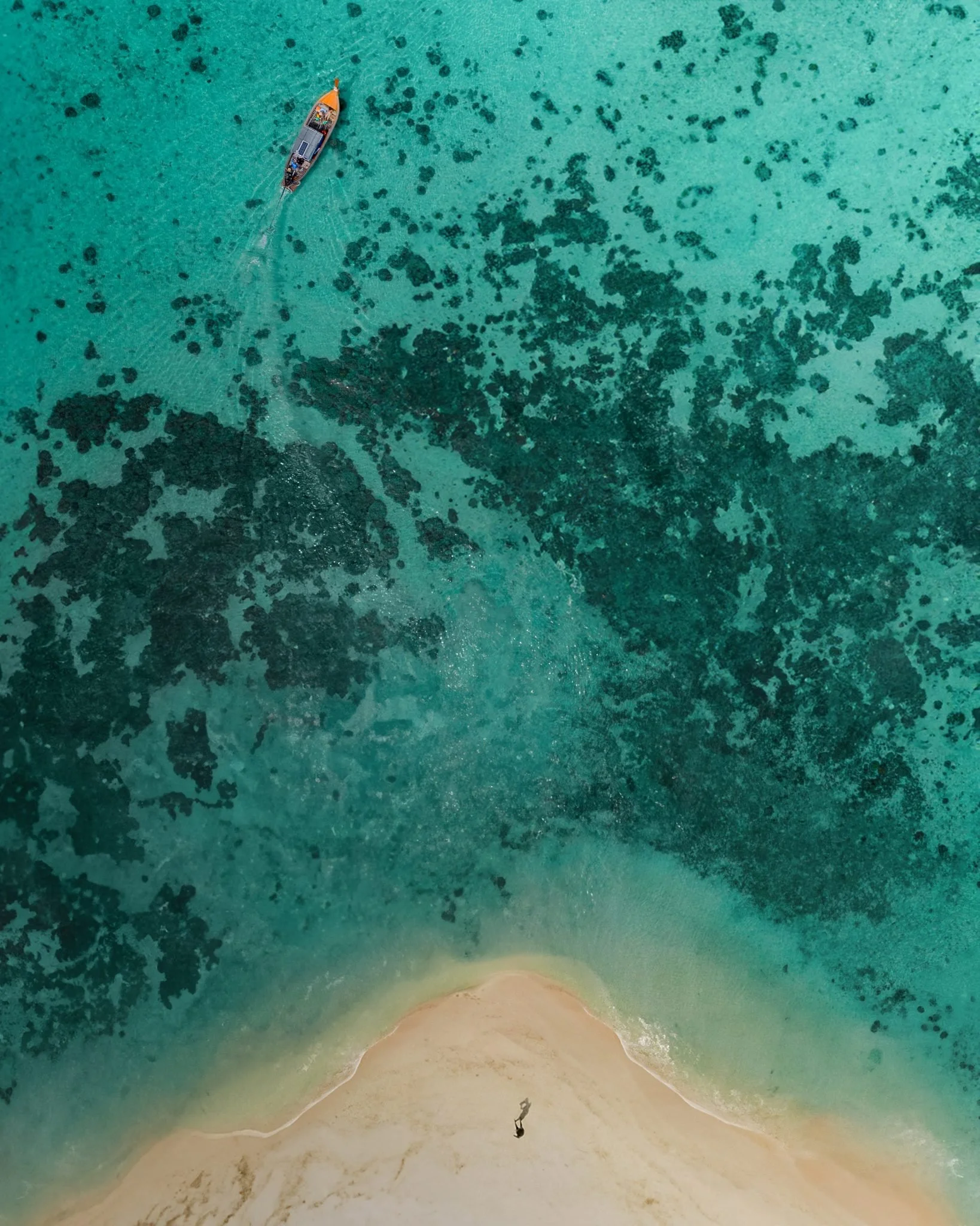 KO-LIPE-2-1638x2048.jpg