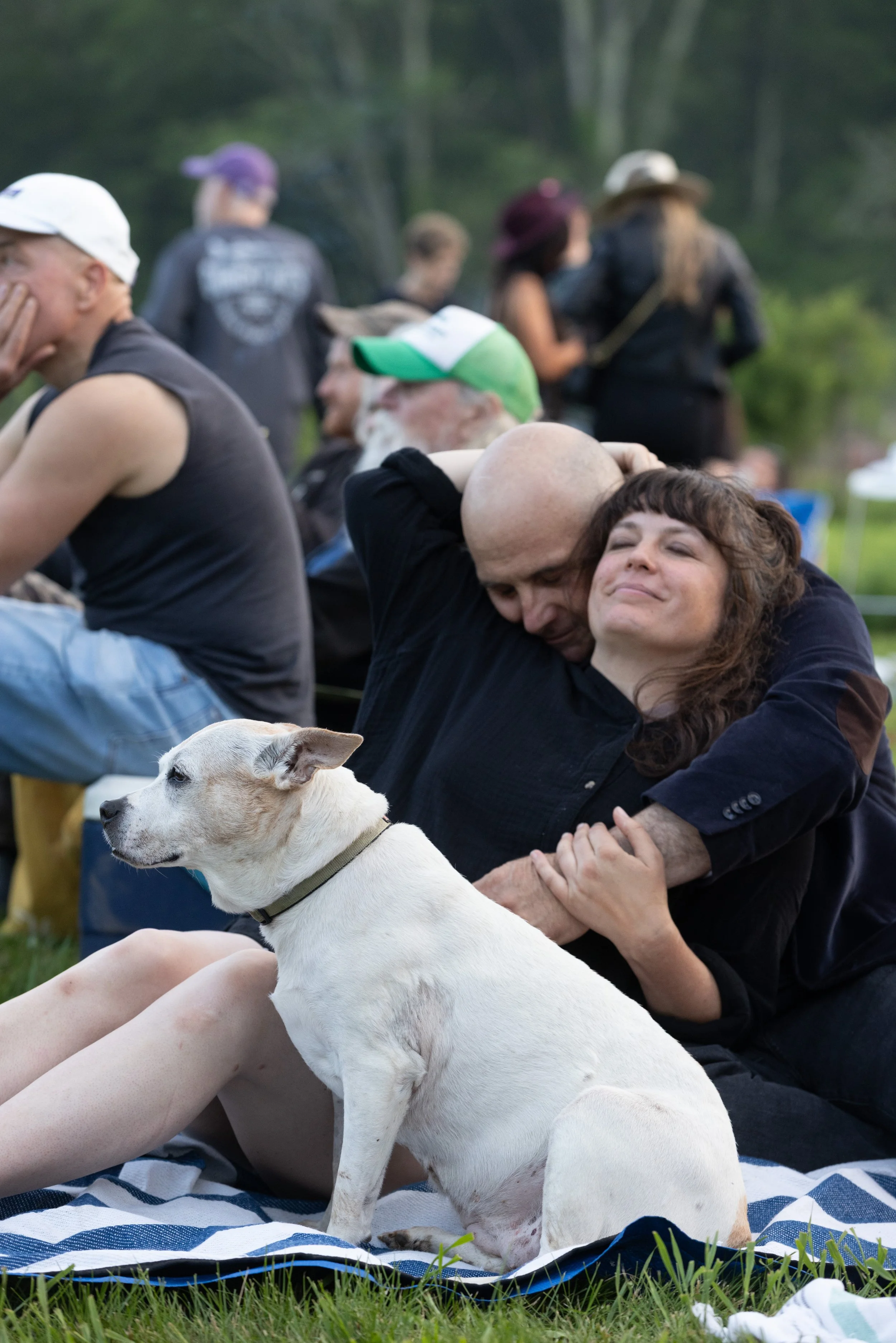 A white dog with a collar sitting on a blanket in a park, with people in the background embracing and talking, some wearing hats and casual clothes, and trees surrounding the area.