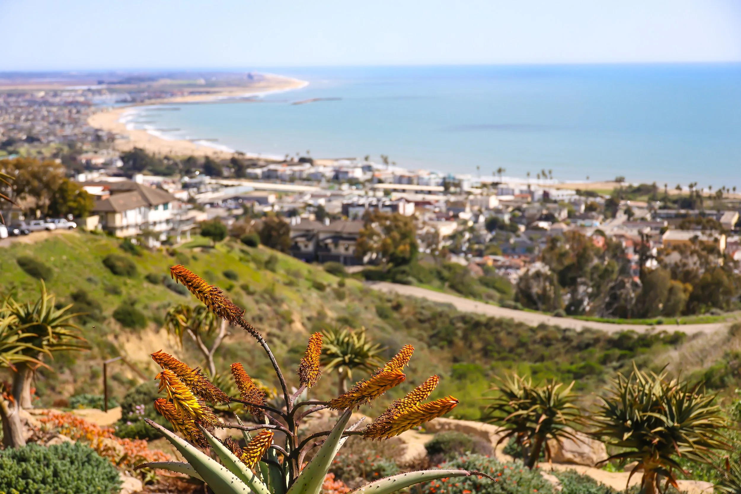 Ventura coastline view