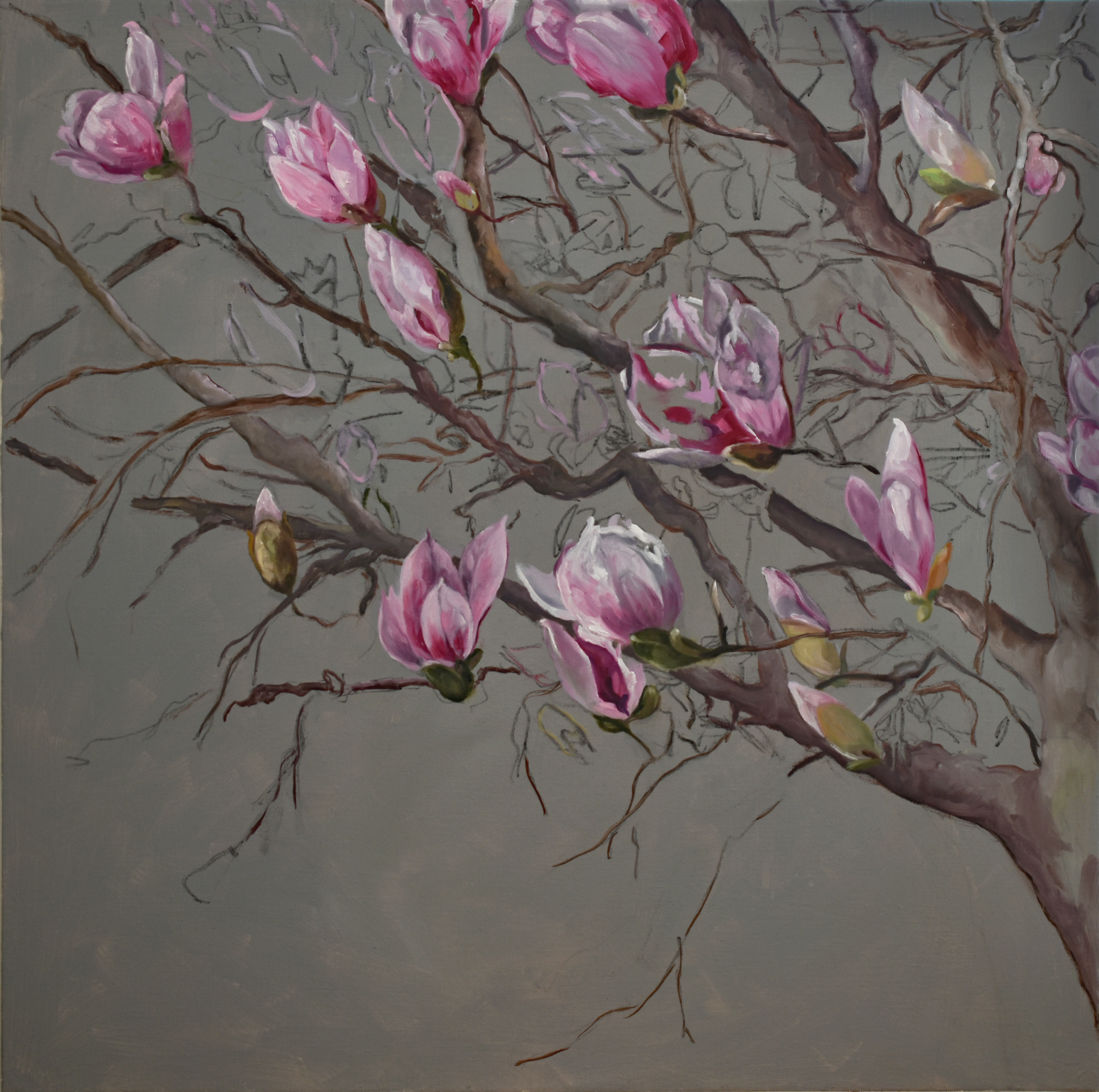 "Le Magnolia", oil on linen, 9 x 12 inches