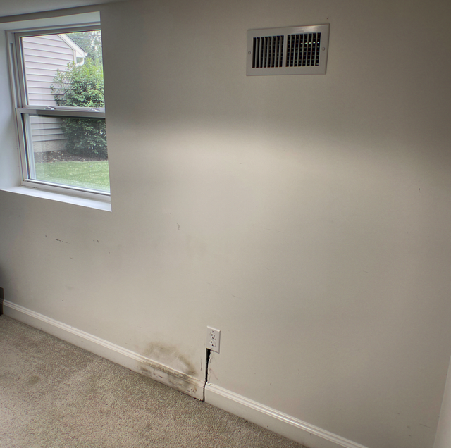 Damp Basement Smell After Finishing: What's Really Causing It