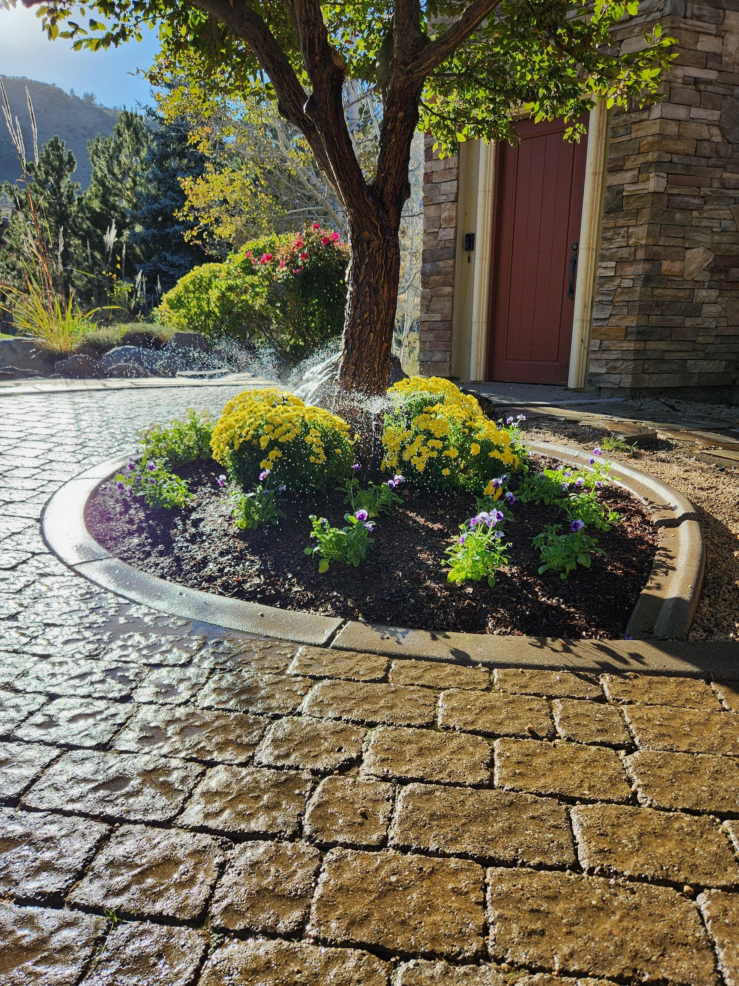 Avoid These Common Irrigation Mistakes in Reno & Sparks, NV Backyards