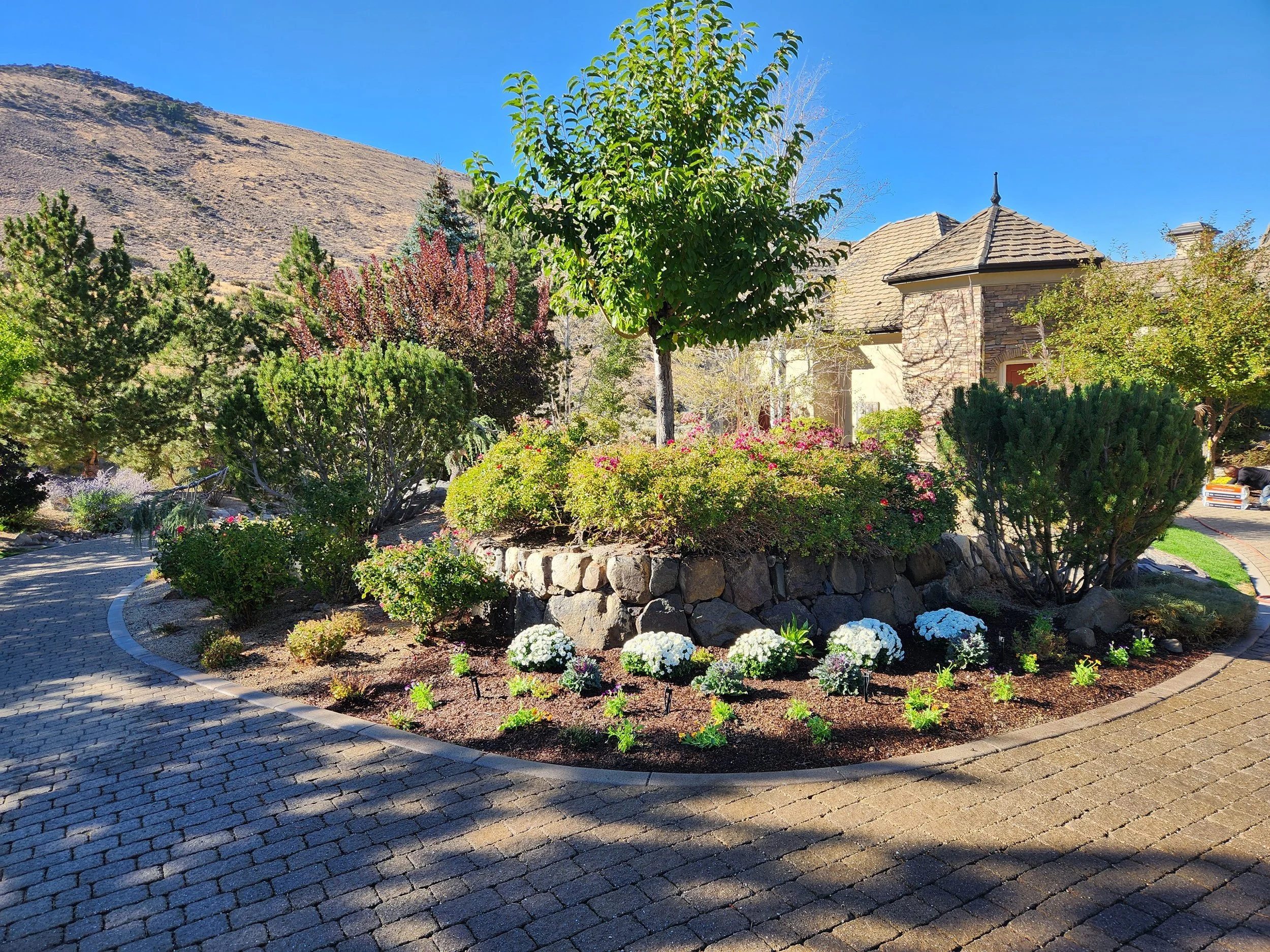 8 Ways Professional Trimming Prepares Your Trees and Shrubs for Seasonal Changes in Carson City and Reno, NV