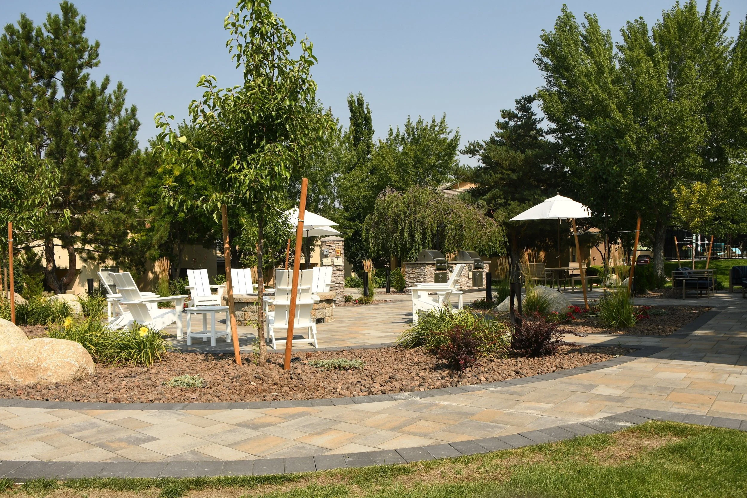 Create a Picture-Perfect Space for Outdoor Gatherings With Expert Pruning in Carson City and Mogul, NV