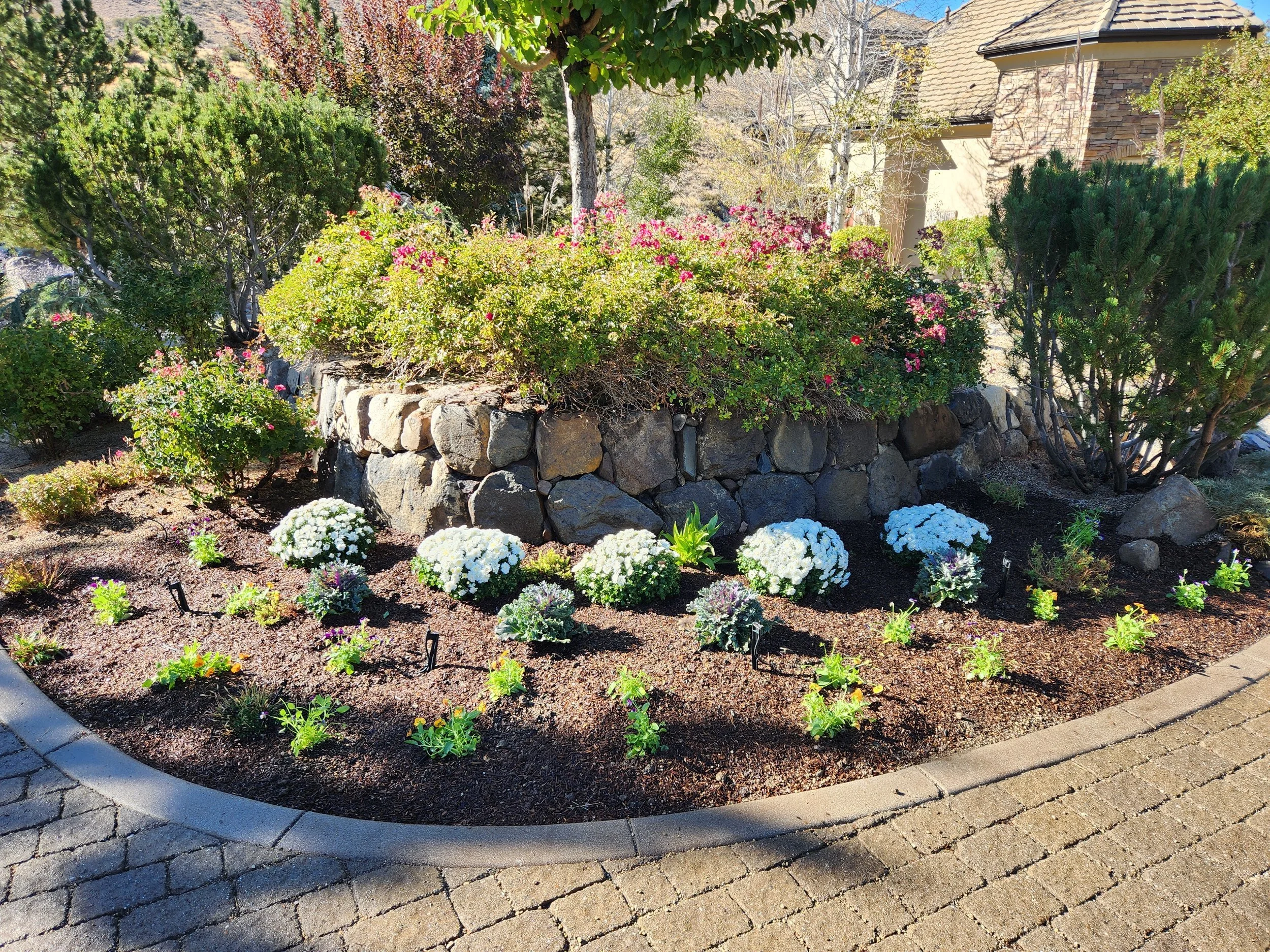 Plants in Truckee, CA, and Carson City, NV: Creating a Reading Nook Amongst Blooming Perennials