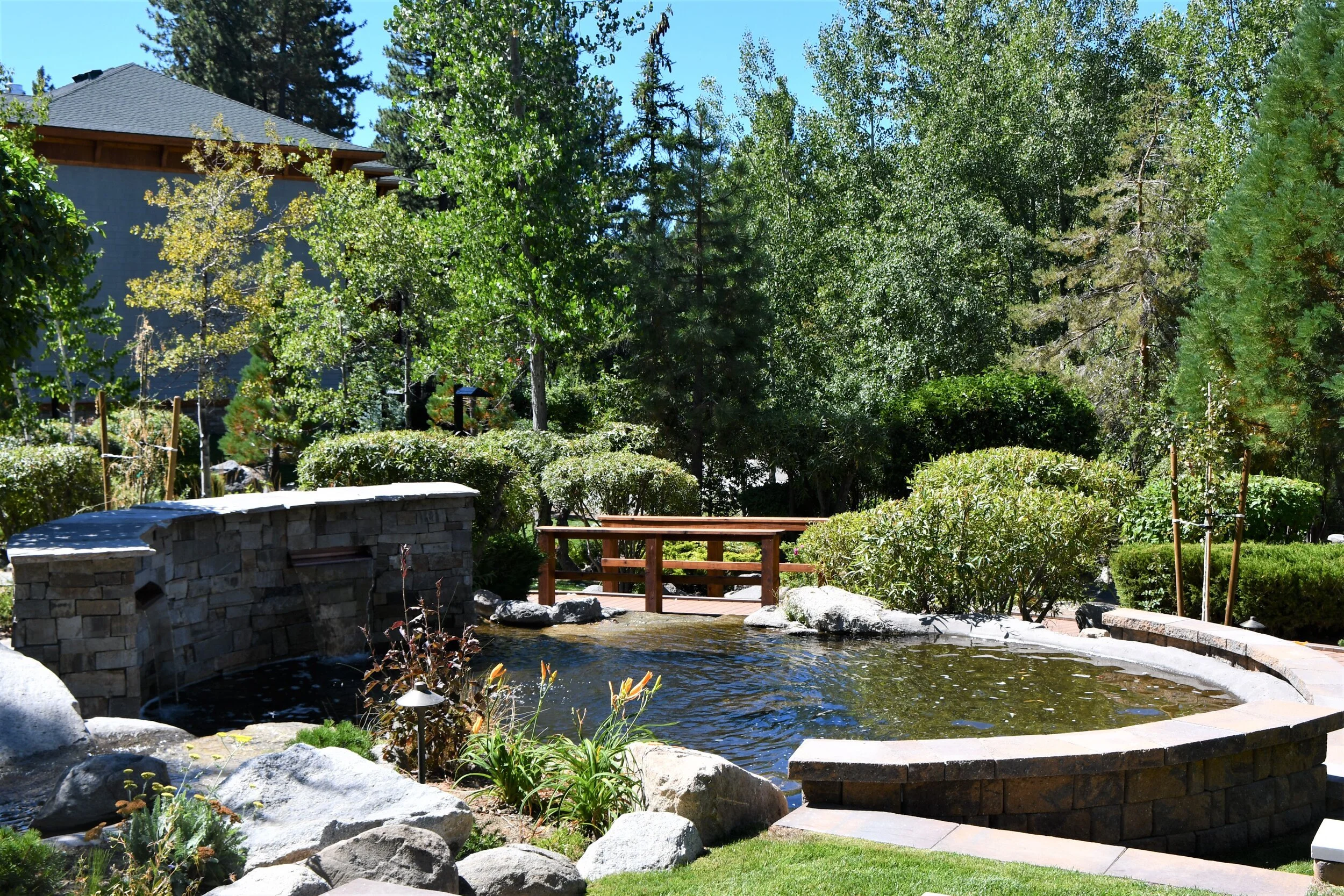 Essential Expertise to Look For in Landscaping Companies in Spanish Springs NV