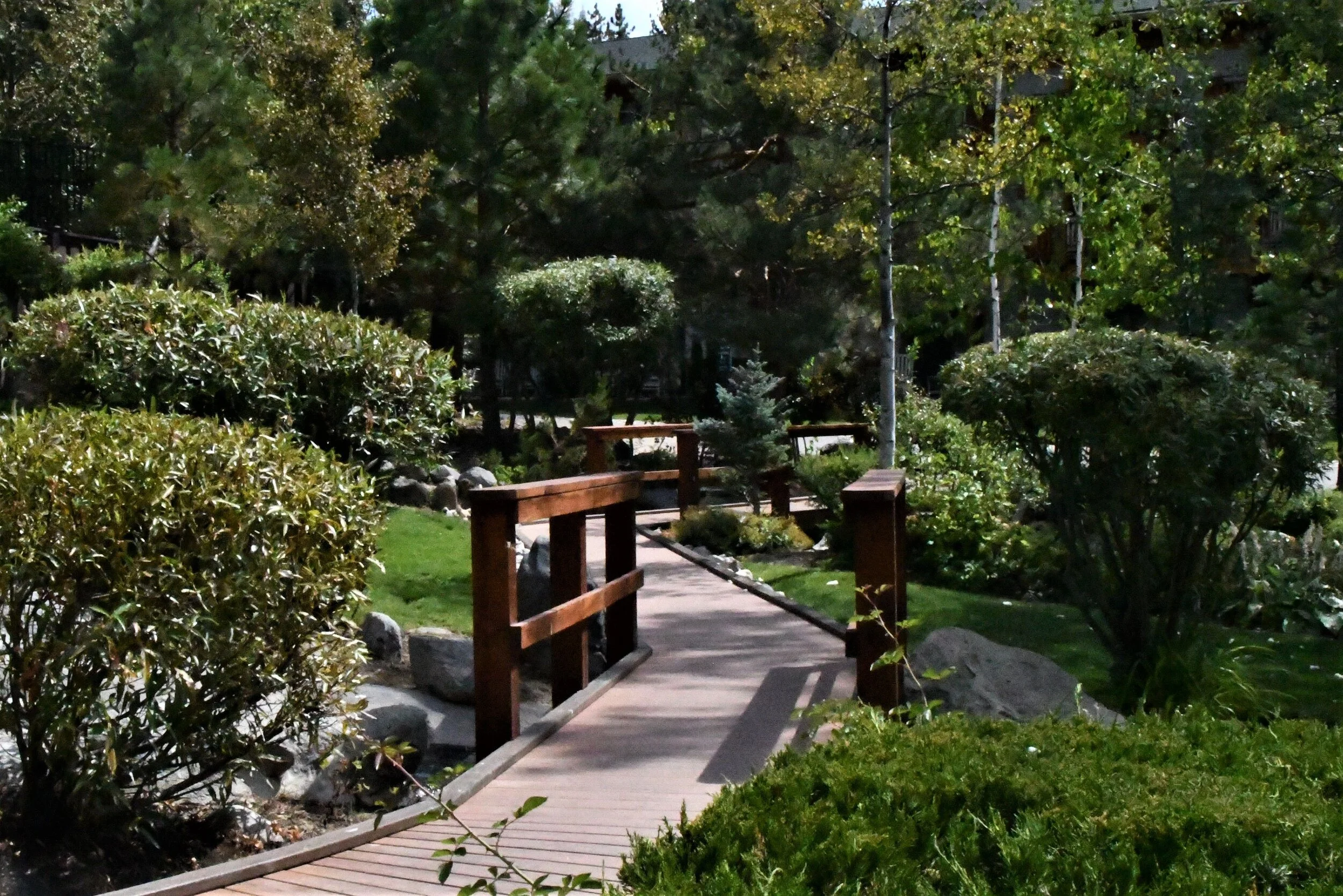Landscape Design Ideas to Prevent Boredom in Your Sparks, NV Backyard