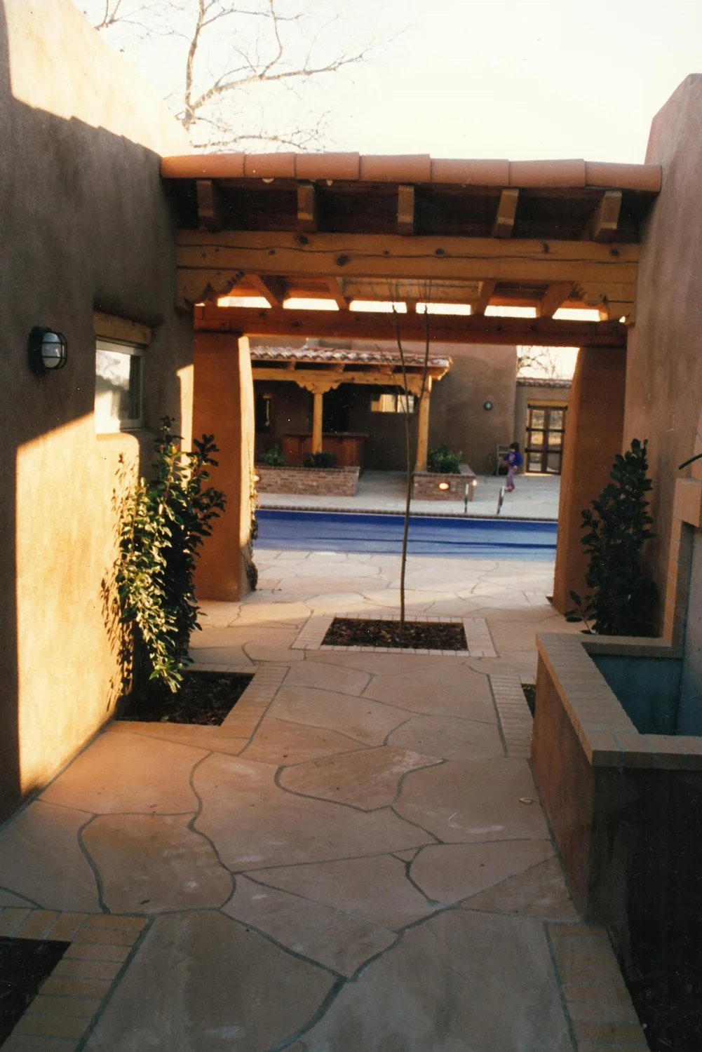 Why Hiring a Landscape Designer Should Be Your Next Investment for Your Reno, NV, Home