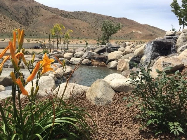 How to Find a Contemporary Landscape Designer in El Dorado Hills, CA