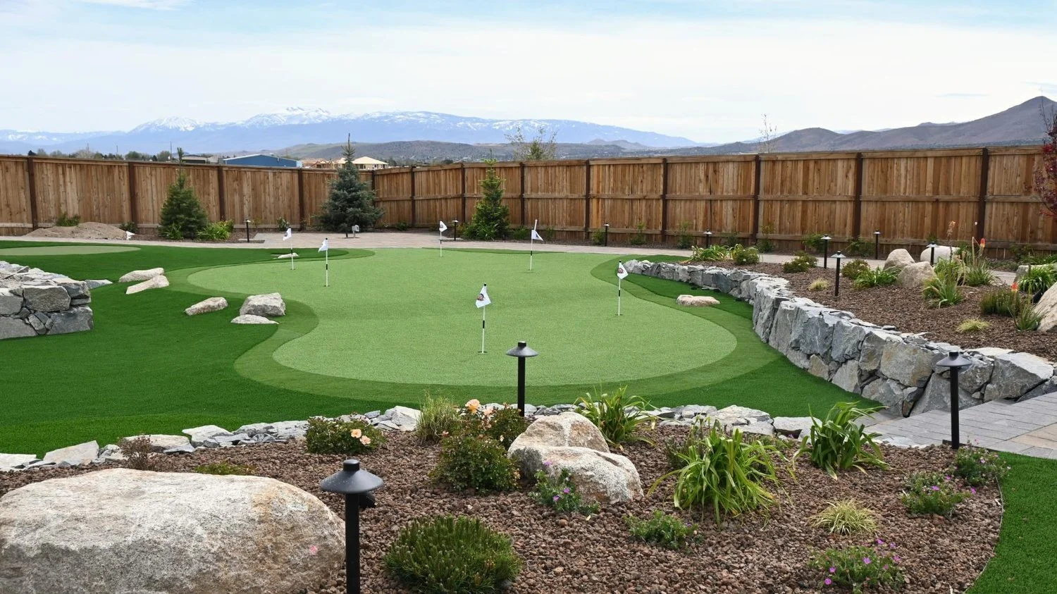 GoldmannpGreen4.jpg