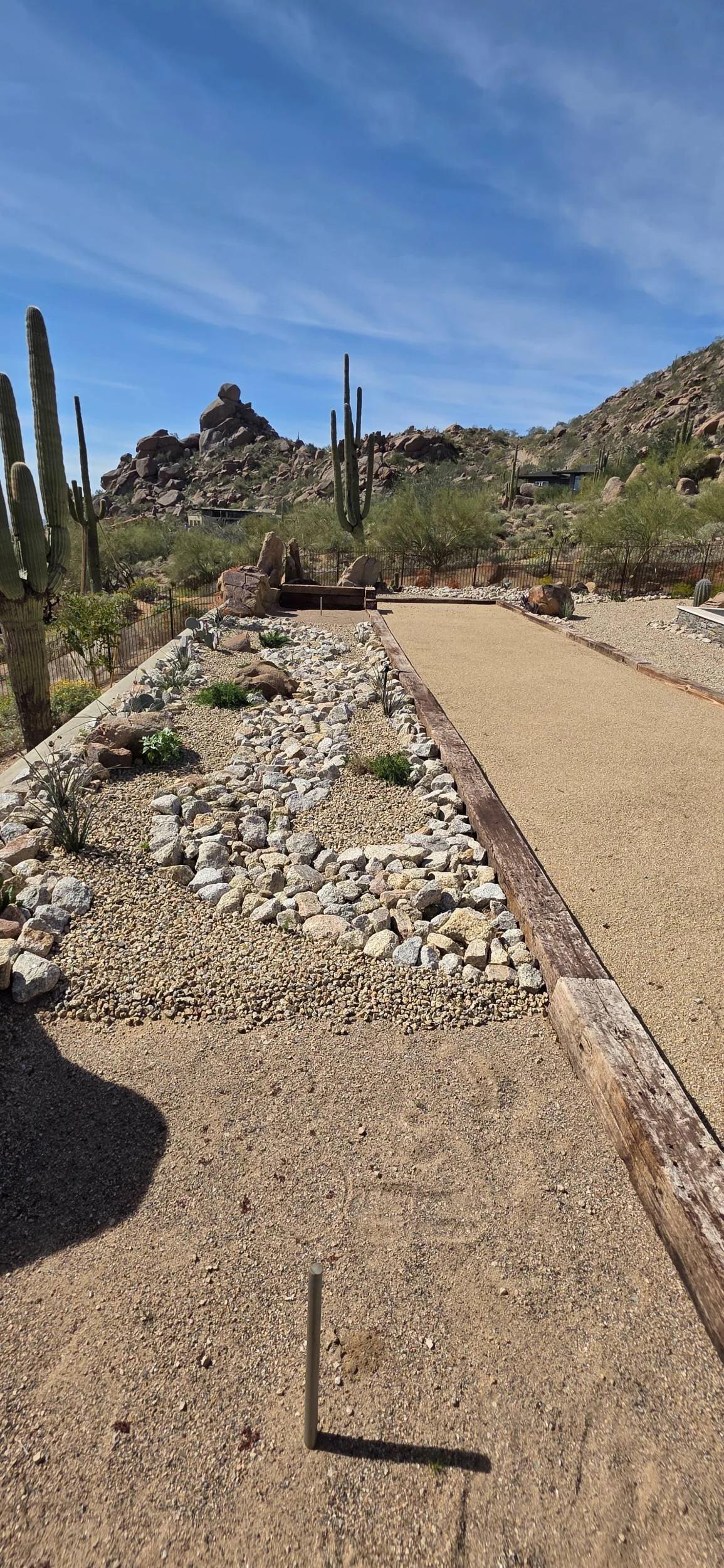 A professionally designed landscape design with exotic plantings in Anthem, AZ