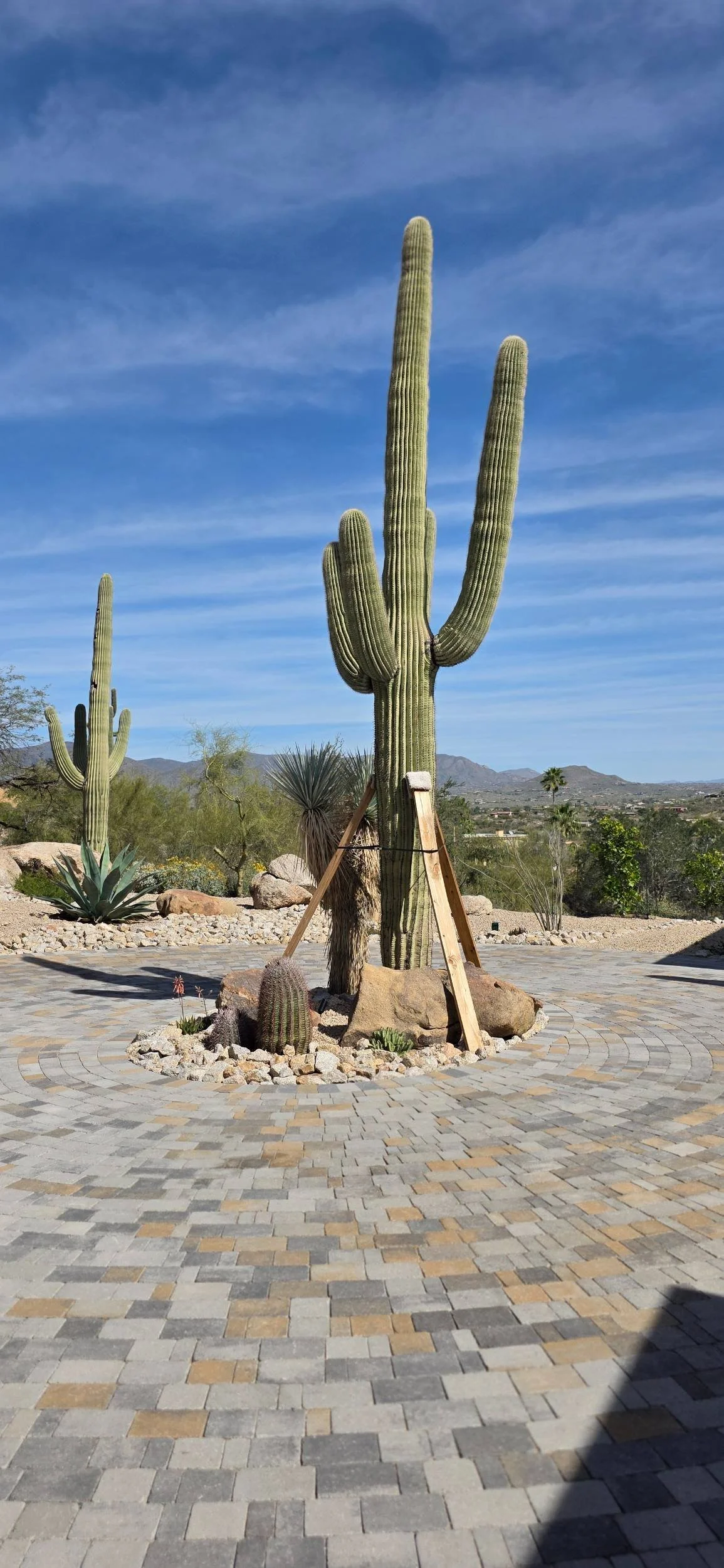 A luxury pool and spa with modern hardscape and shade structures in Scottsdale, AZ