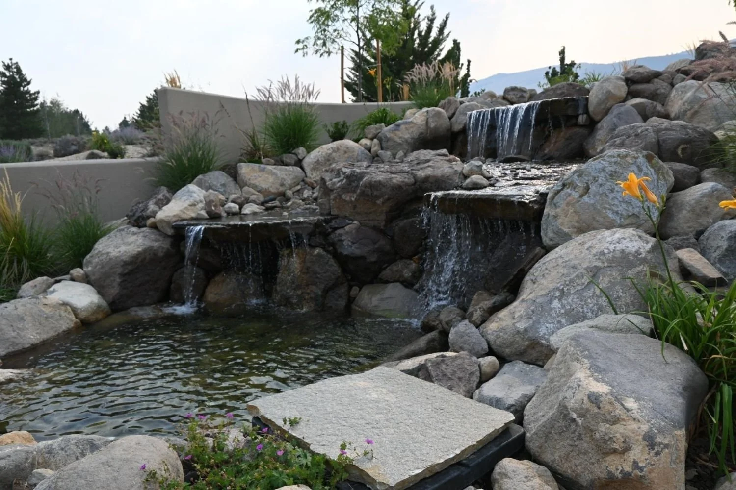 imgi_27_DSC_2138.jpg