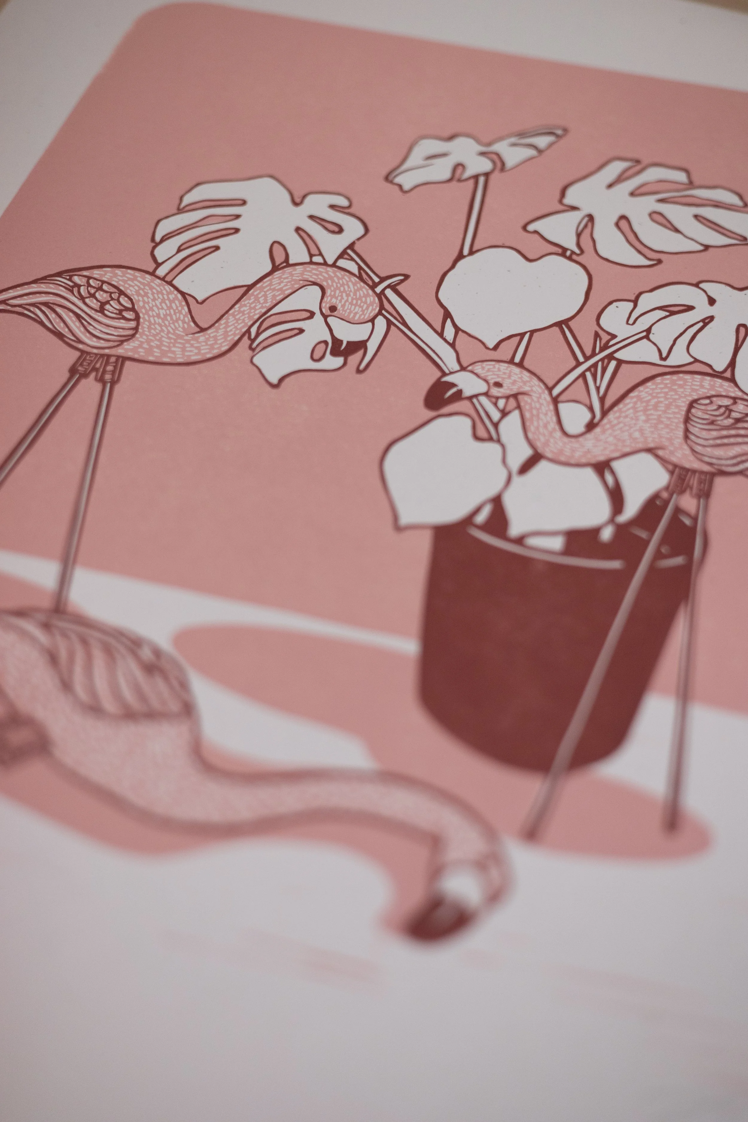 Prints_2026_Flamingo_06.jpg