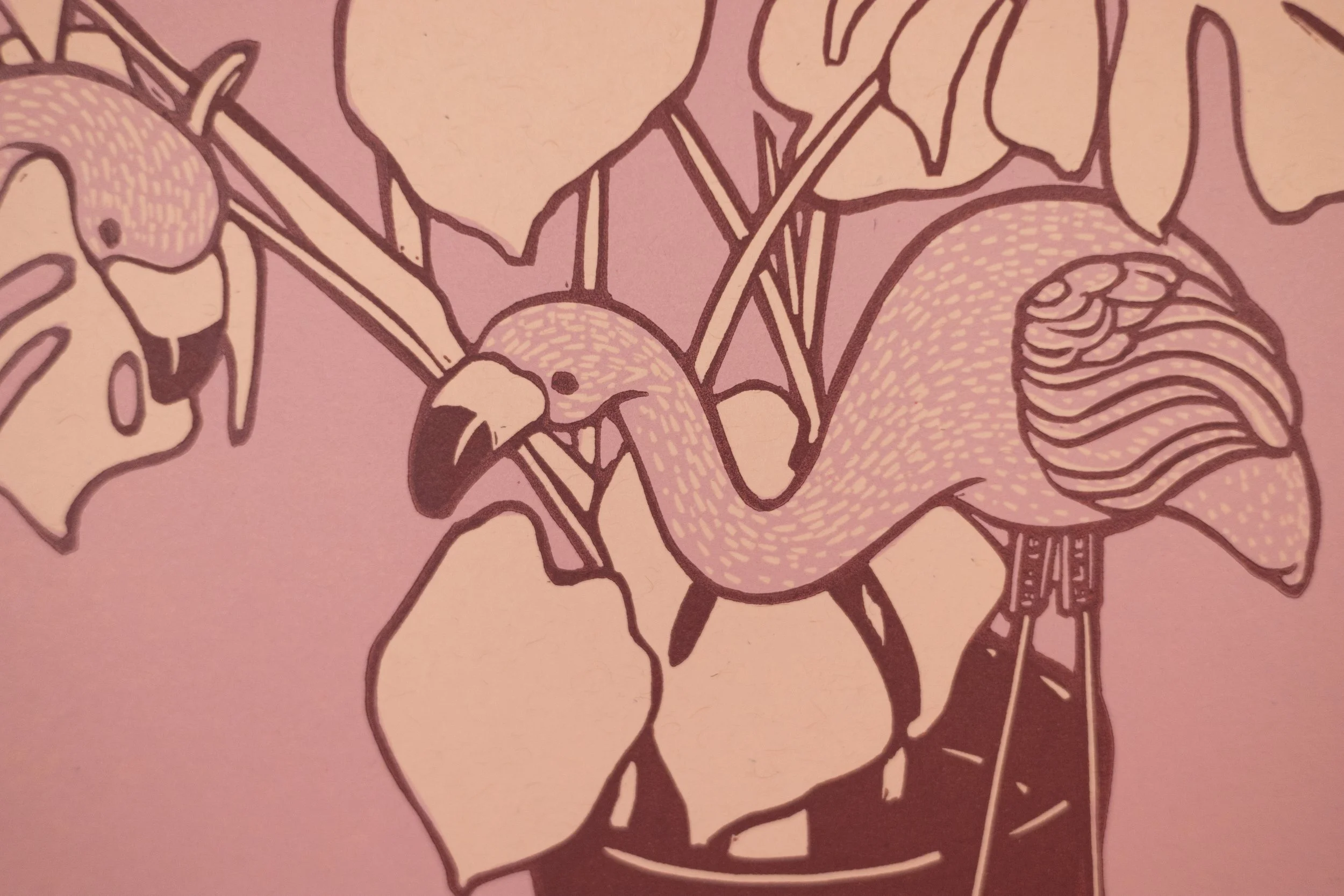 Prints_2026_Flamingo_pink_04.jpg