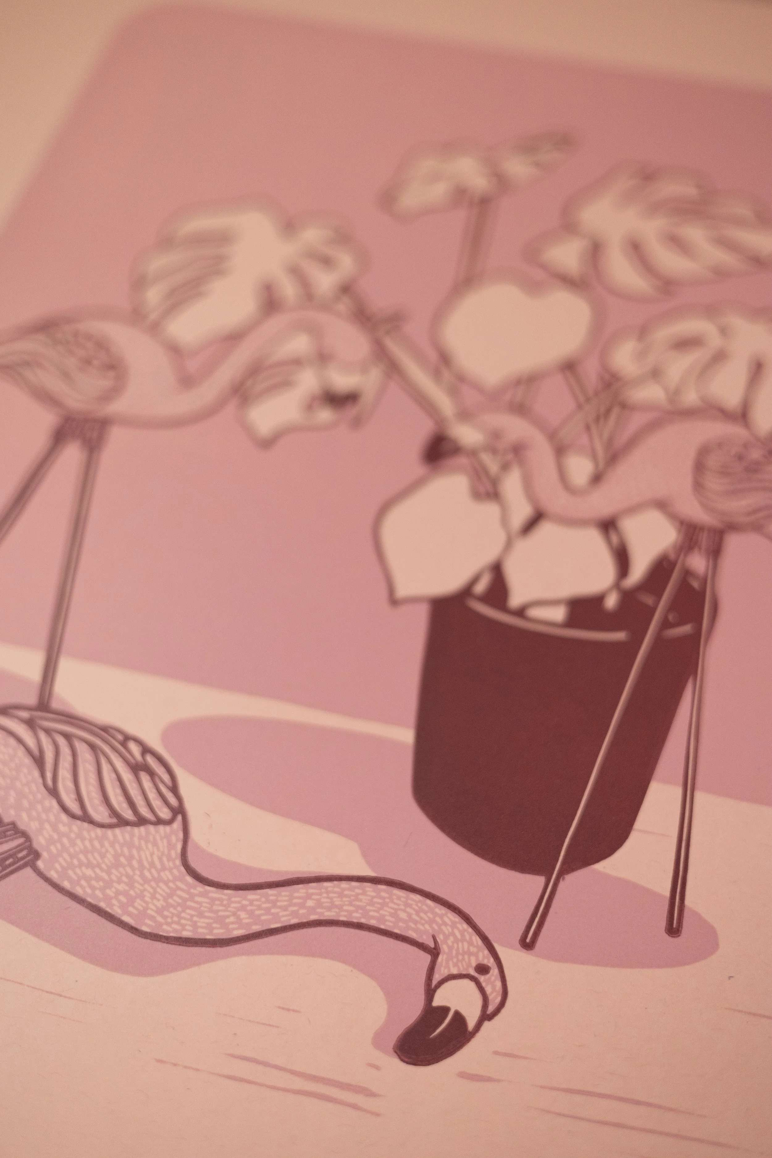 Prints_2026_Flamingo_pink_03.jpg