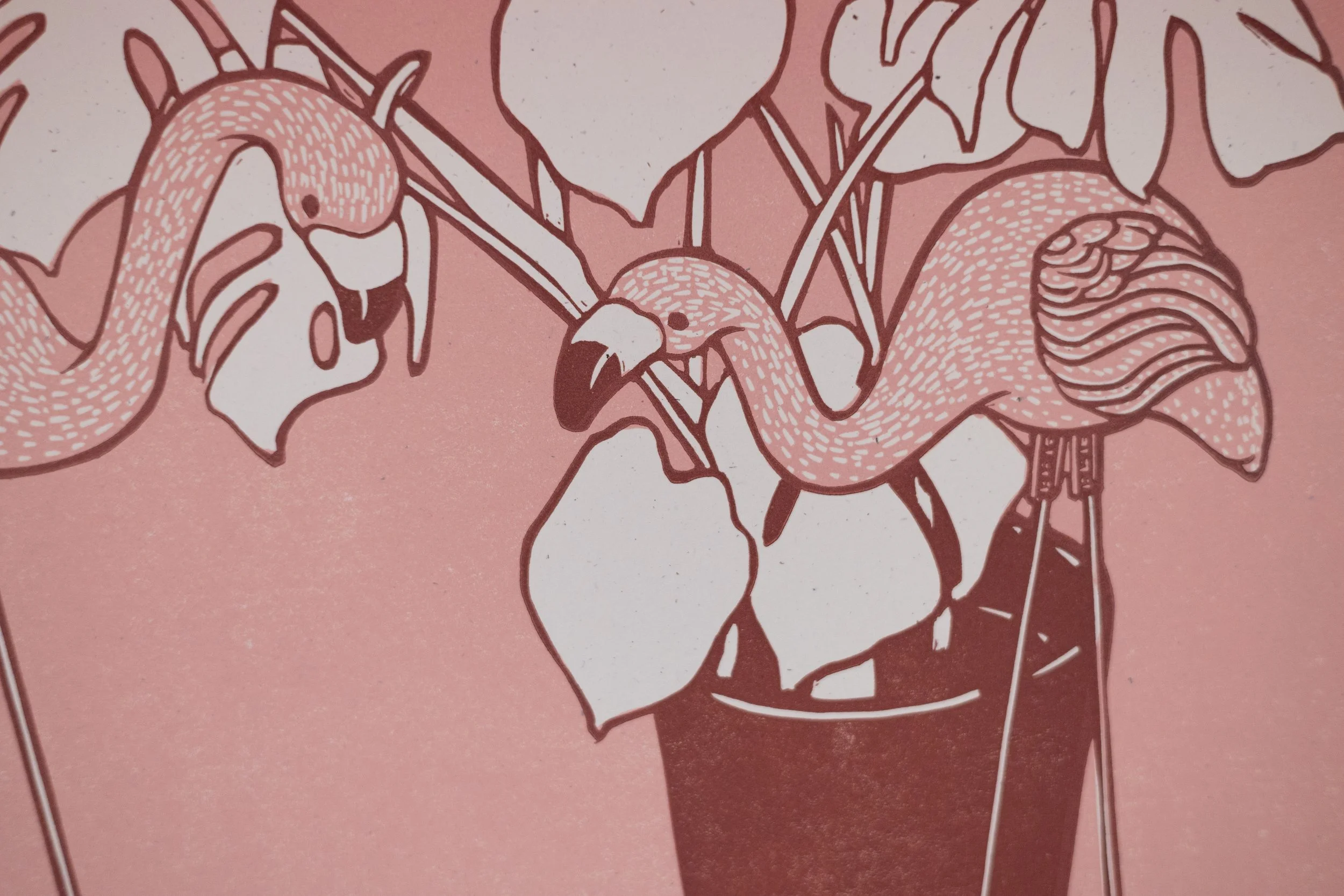 Prints_2026_Flamingo_02.jpg