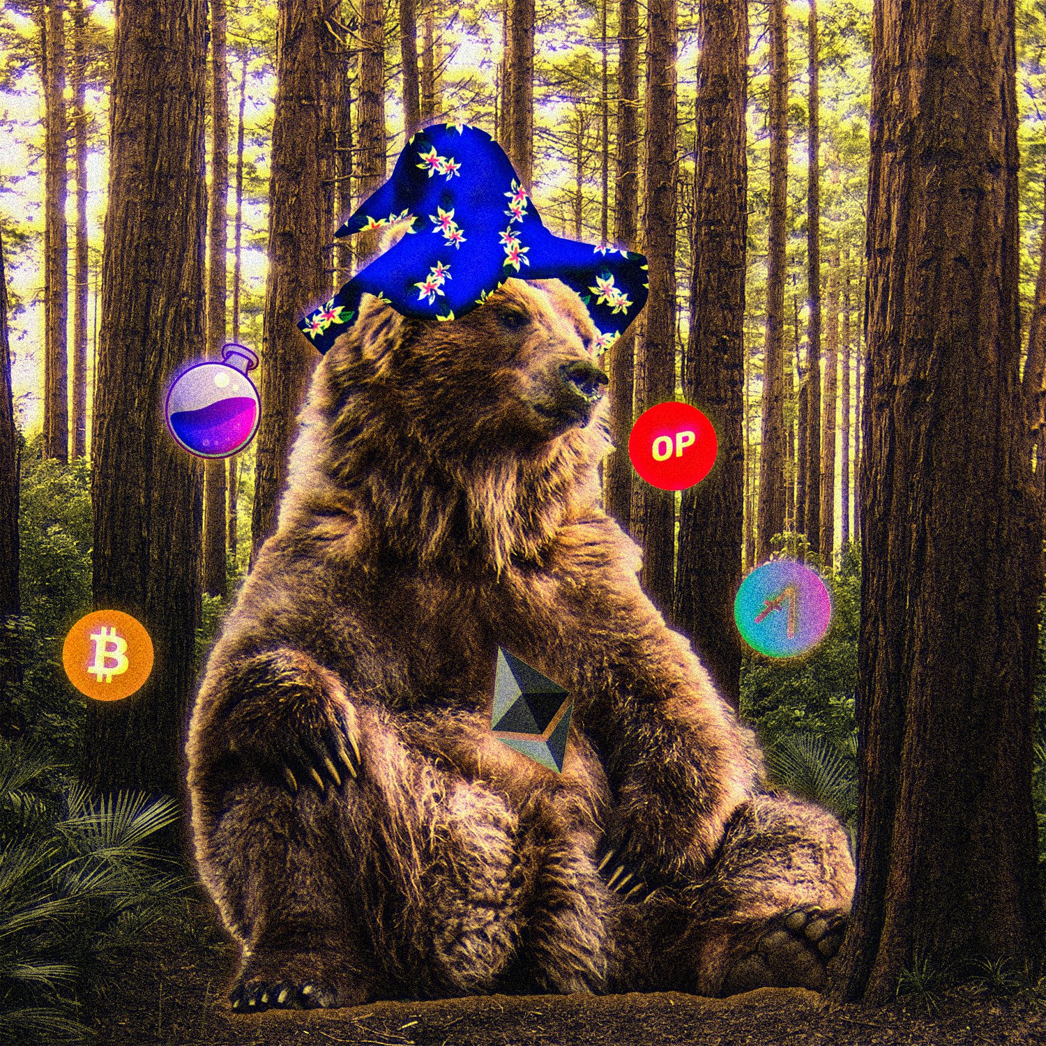 dev bear wizard1.jpg