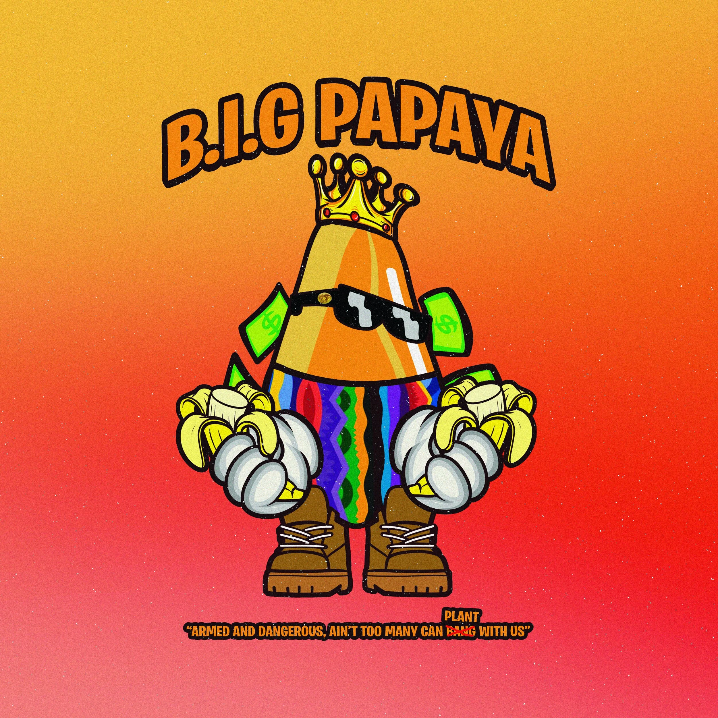An animated character resembling a bomb with a crown, sunglasses, and dollar bills as ears, standing with fists in a colorful striped tie and brown boots. The text reads 'Big Papaya' at the top and 'Armed and dangerous, ain't too many can bang with u
