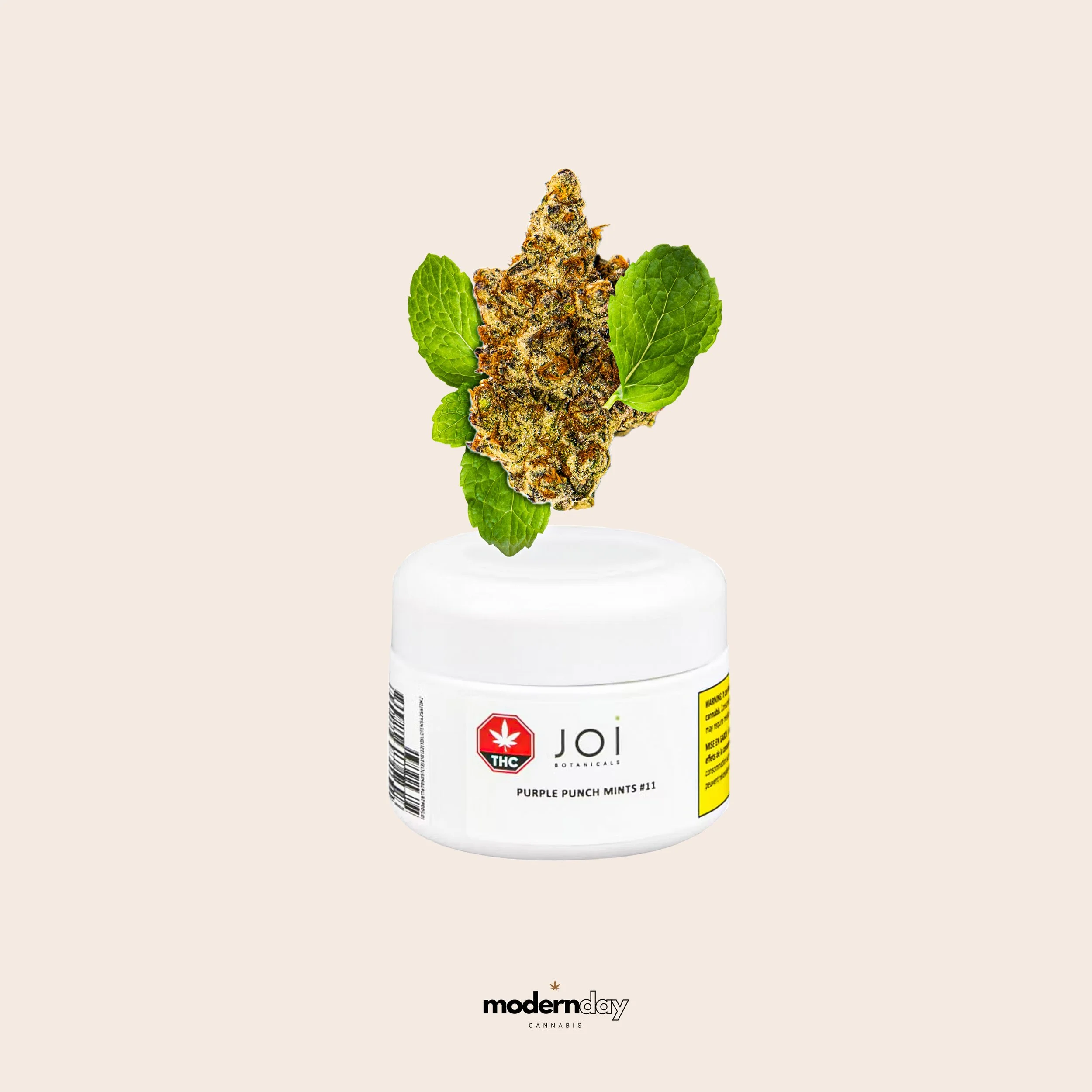Cannabis bud with green mint leaves on a container labeled 'Joi Botanicals Purple Punch Mints #11' amid a minimal beige background.