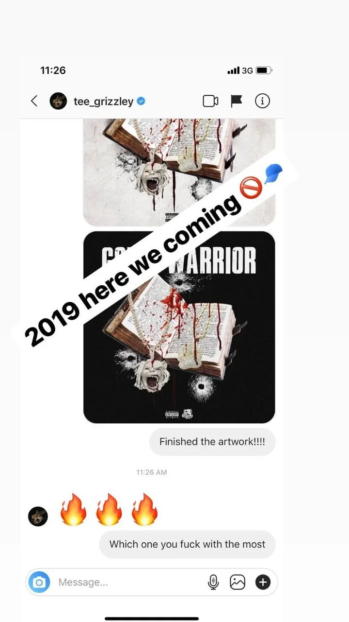Screenshot of a social media message featuring artwork with an open book splattered with red paint emitting bullet holes, accompanied by a lion's face, a wolf's face, and bullet holes around the book. Overlaid text says "2019 here we coming" with sym