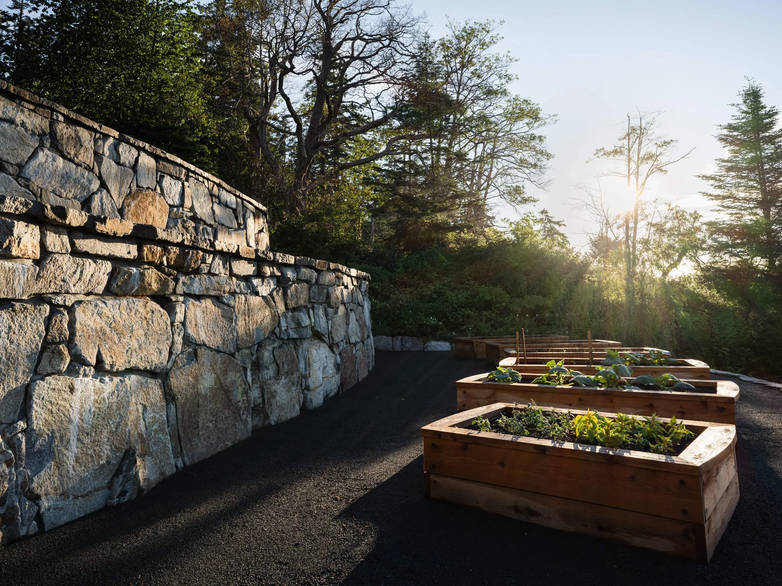 desolation-sound-residence-stone-wall-and-raised-garden-beds-architectural-photographer-matt-anthony.jpg