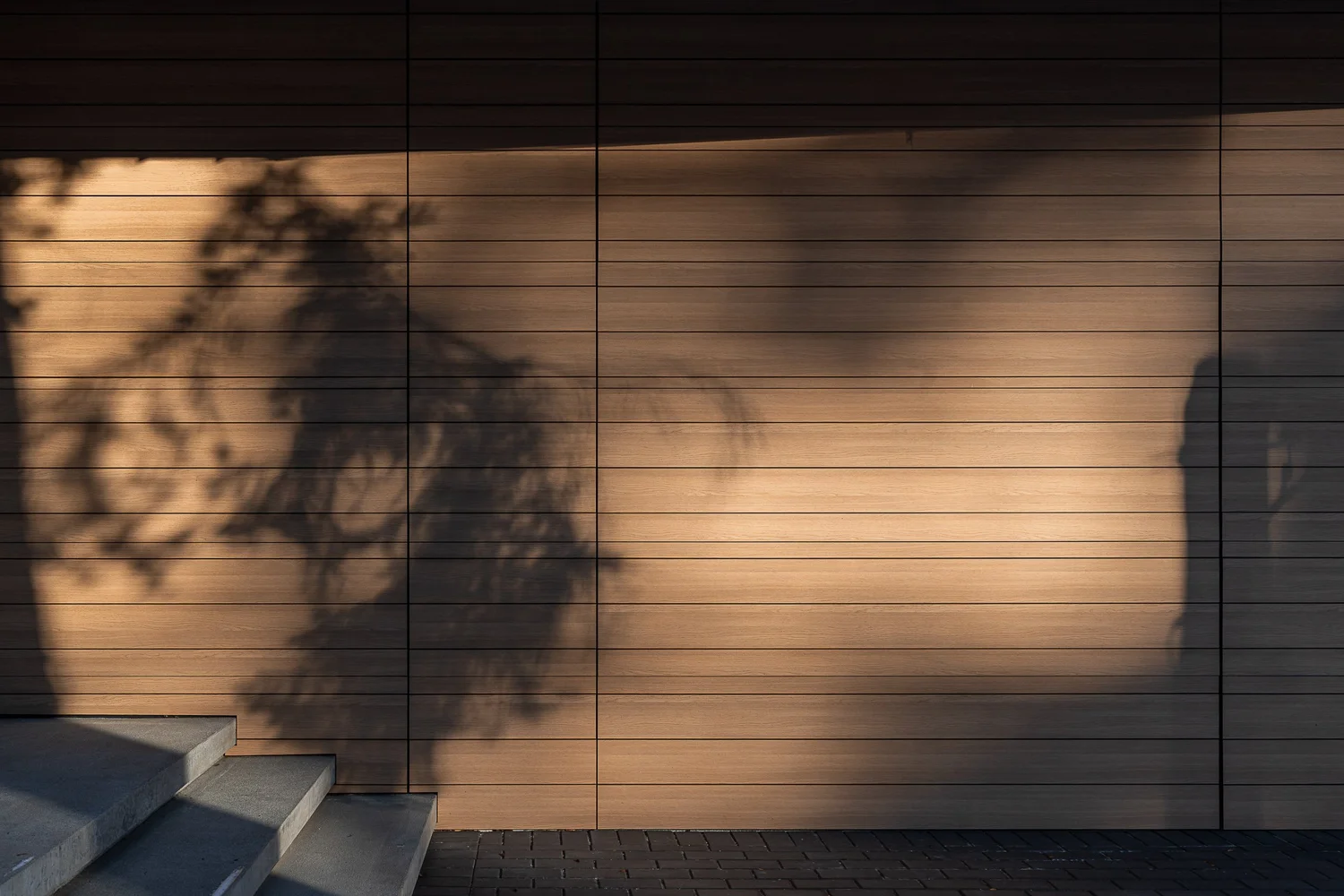 Bare tree shadows falling across a horizontal wood clad wall in low winter sun