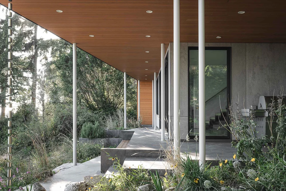 Covered walk on slim white columns under a wood soffit, planting along the concrete edge