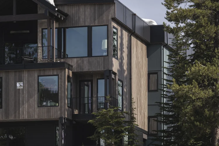 Upper storeys among evergreens, grey and dark cladding with a black railed balcony