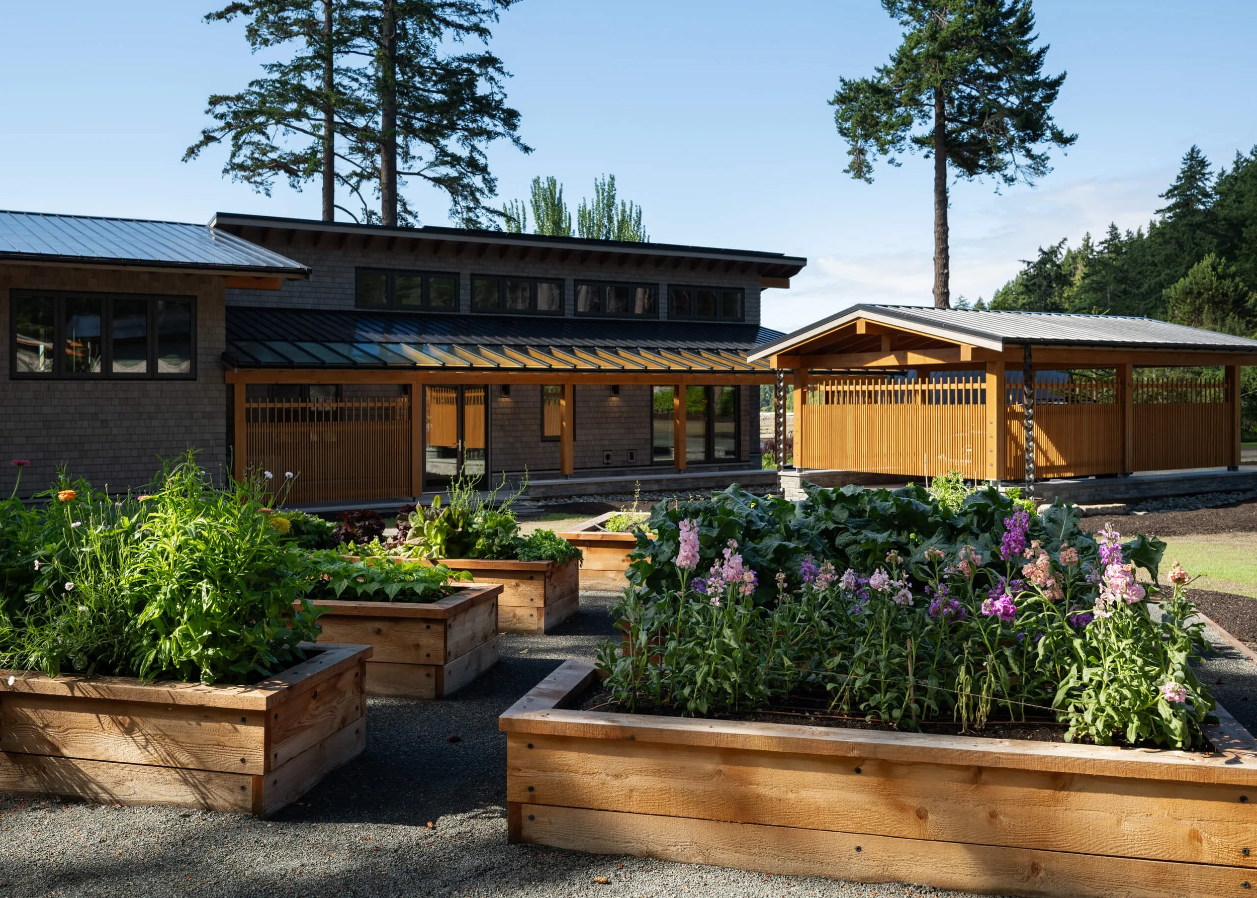 desolation-sound-residence-kitchen-garden-and-clerestory-wing-architectural-photographer-matt-anthony.jpg