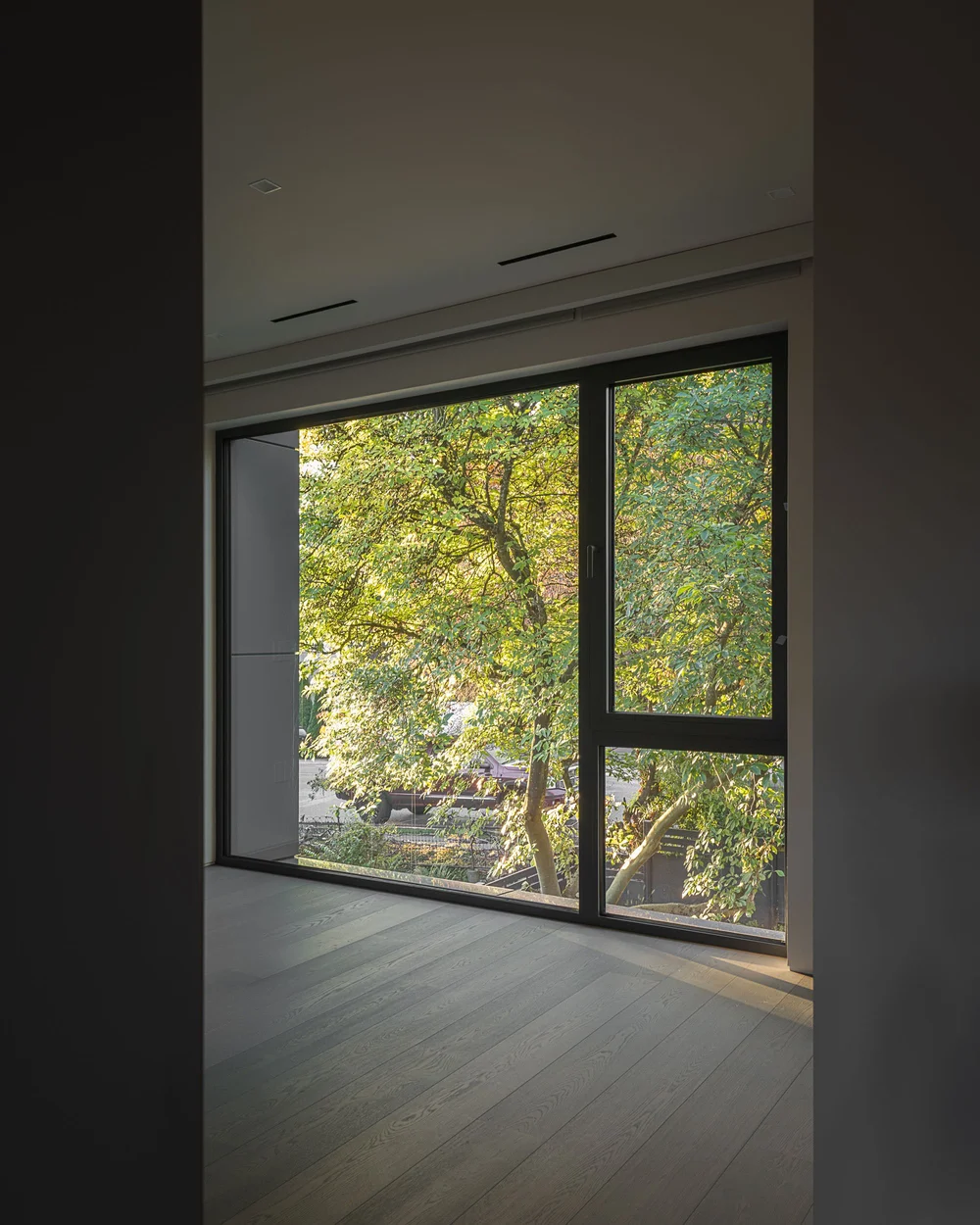 Window and door in a dark walled room, a tree filling the opening