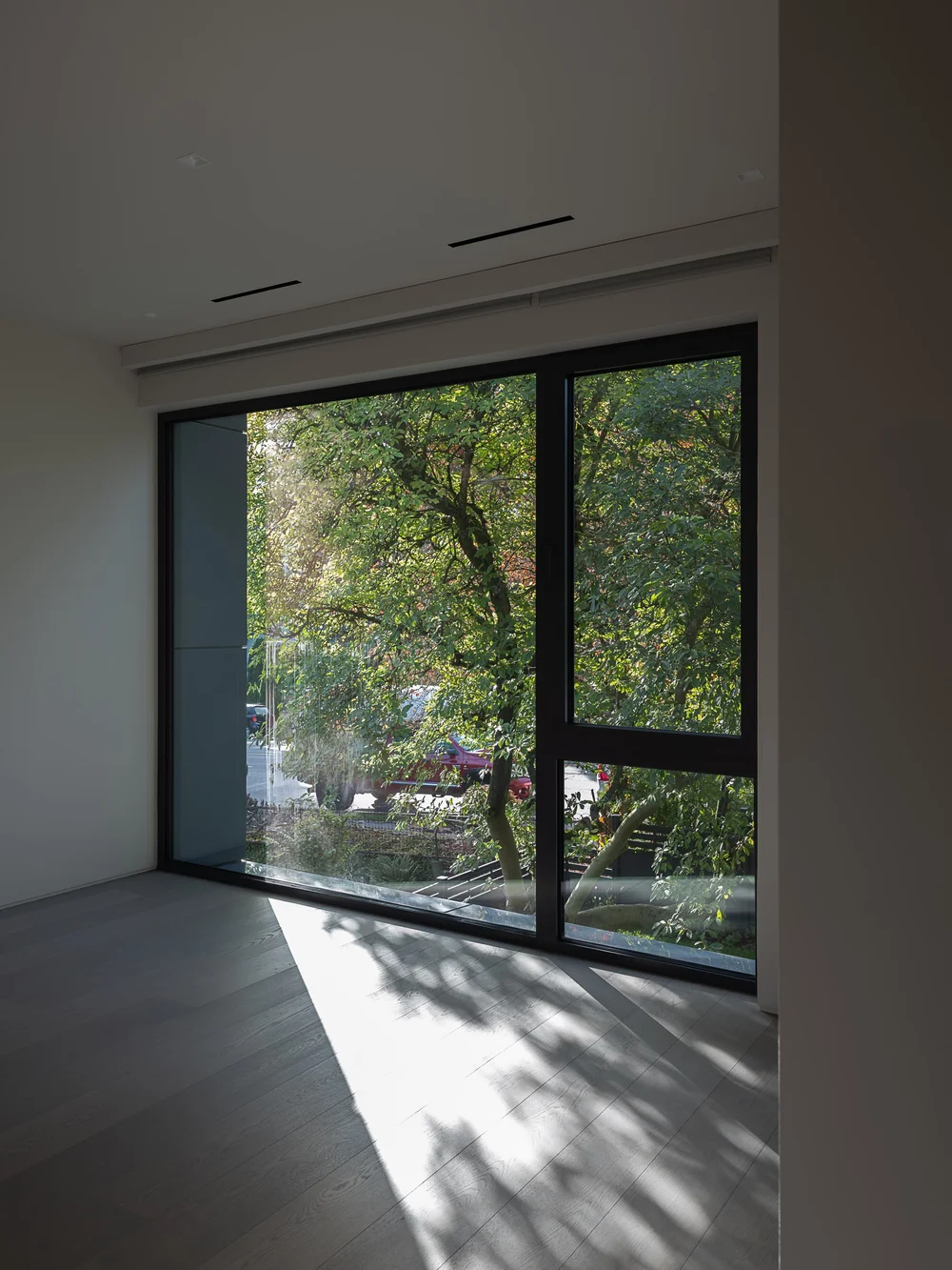 Corner window in an empty room, leaf shadows drifting across wall and floor