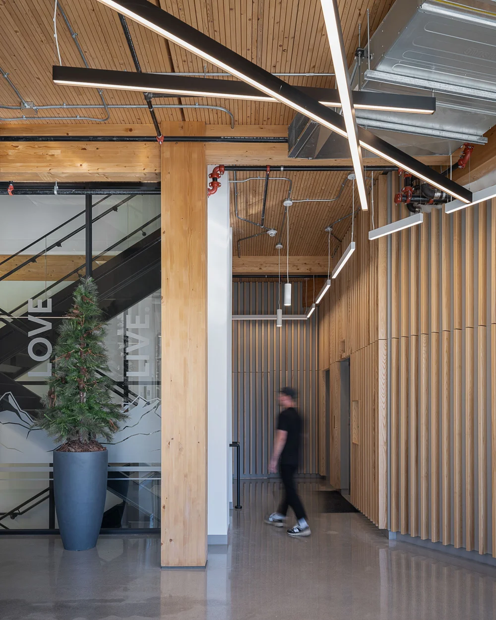 SDA BC Headquarters interior — Sitelines Architecture project by Matt Anthony