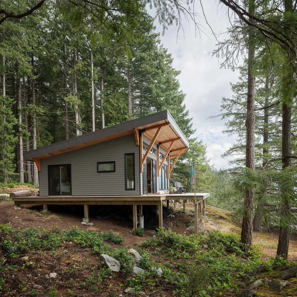 The house standing on wood posts among tall trees, its roof pitched up toward the light
