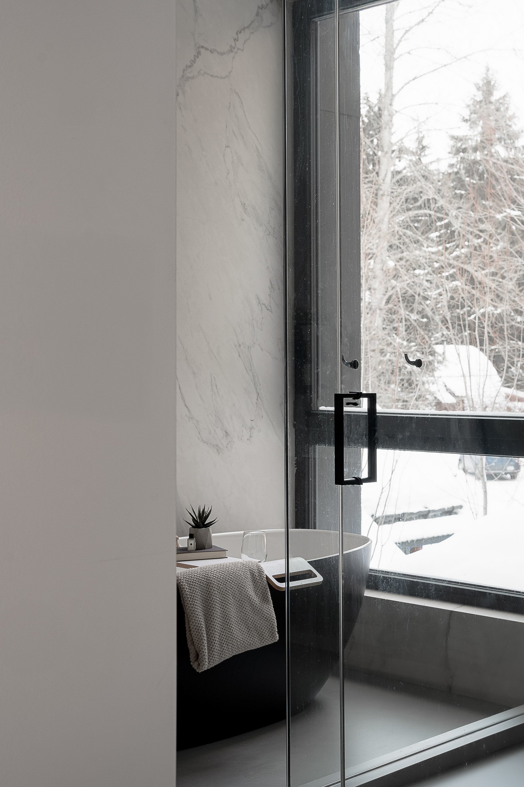 Fitzsimmons Residence interior window view with balanced exposure showing exterior landscape