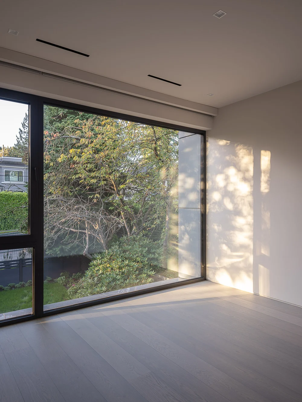 A wide window onto trees, sunlight cast in a soft band along the wall