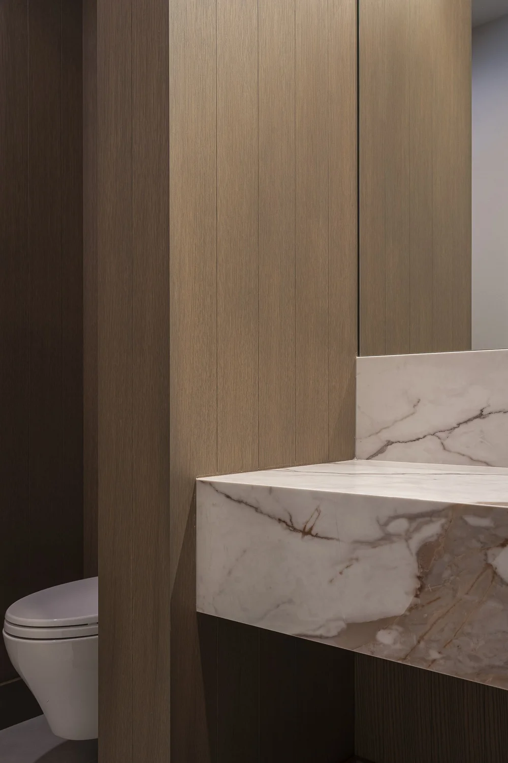 Tall faucet on a veined stone counter, dark panelled wall and a wall hung toilet beyond