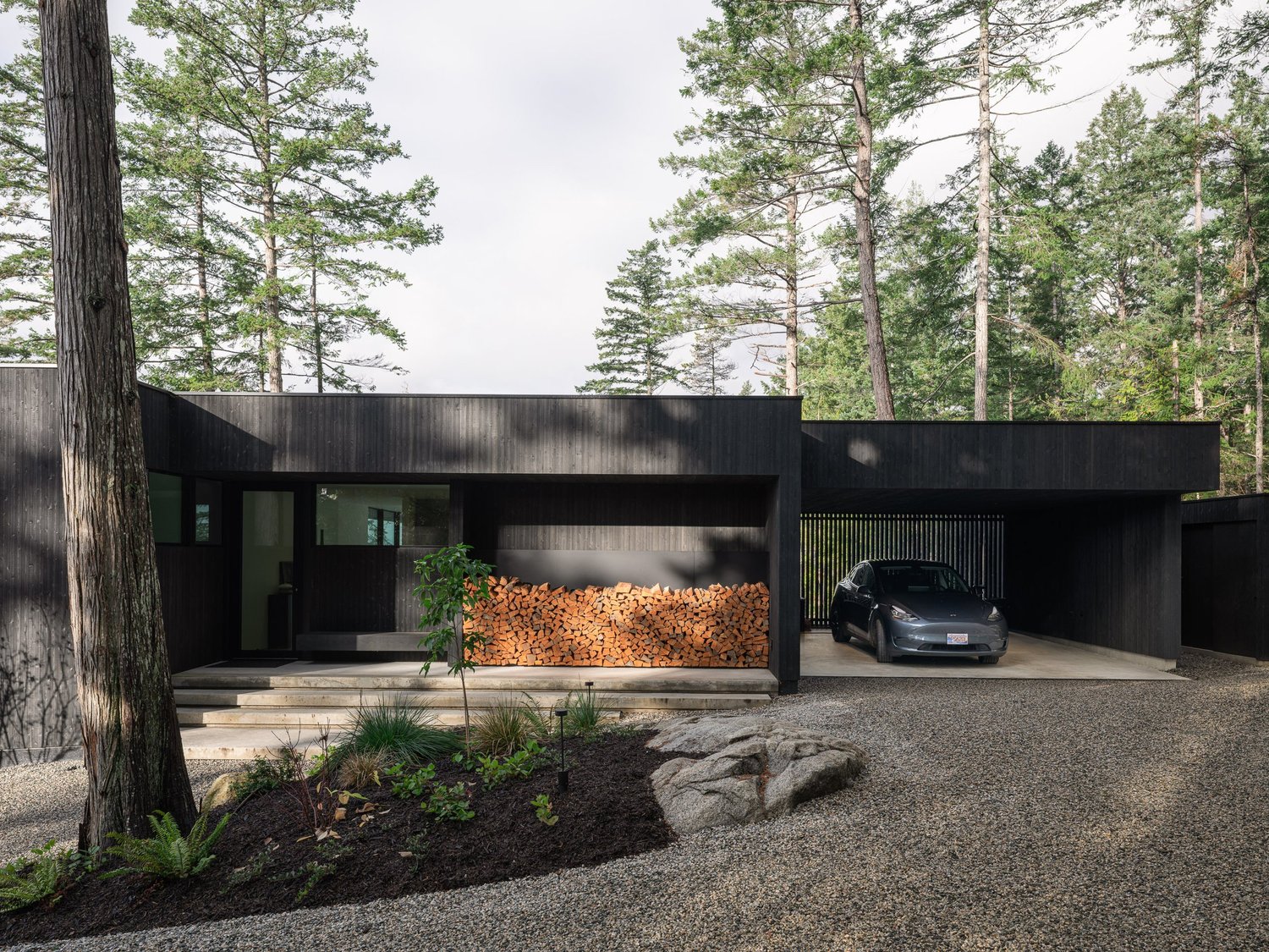 Dark clad house among tall firs, entry steps and stacked firewood under the roof, gravel drive