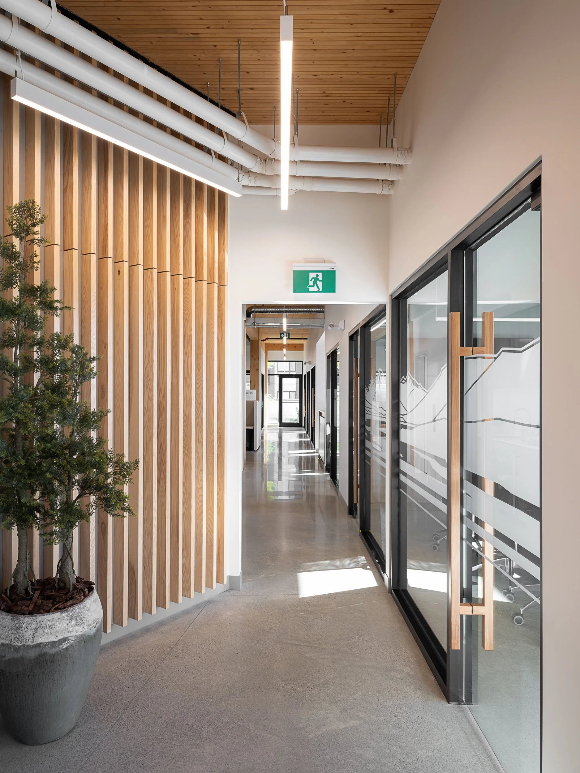 SDA Headquarters wood ceiling