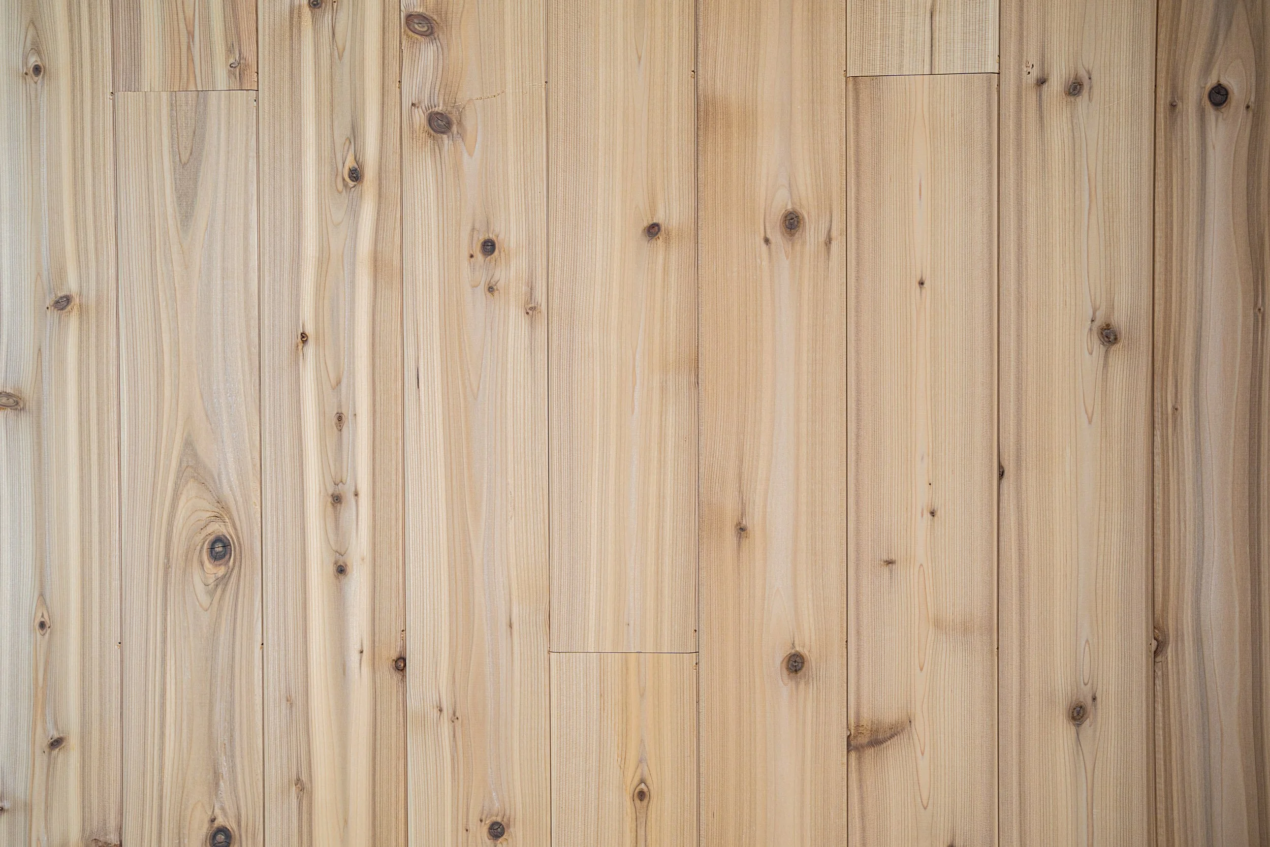 Gambier Island night